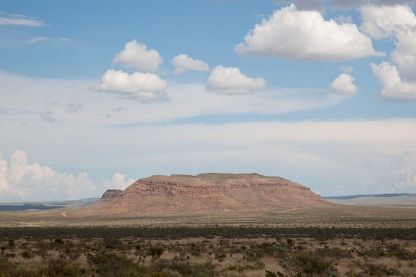 Image 3 of 14