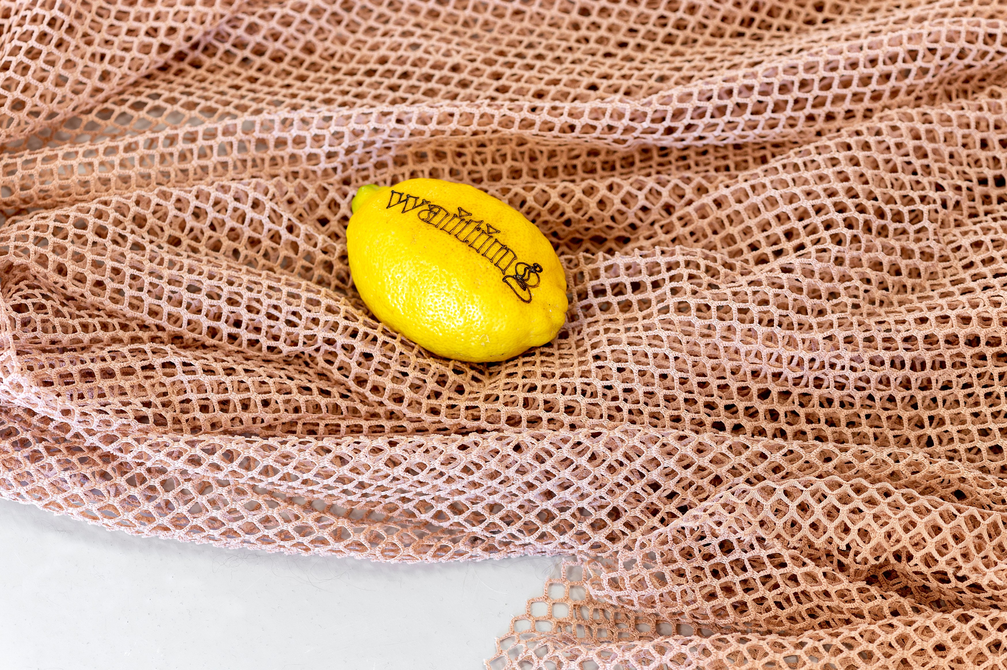 Gaëlle Choisne, Mondes Subtiles at Air de Paris, photo 21