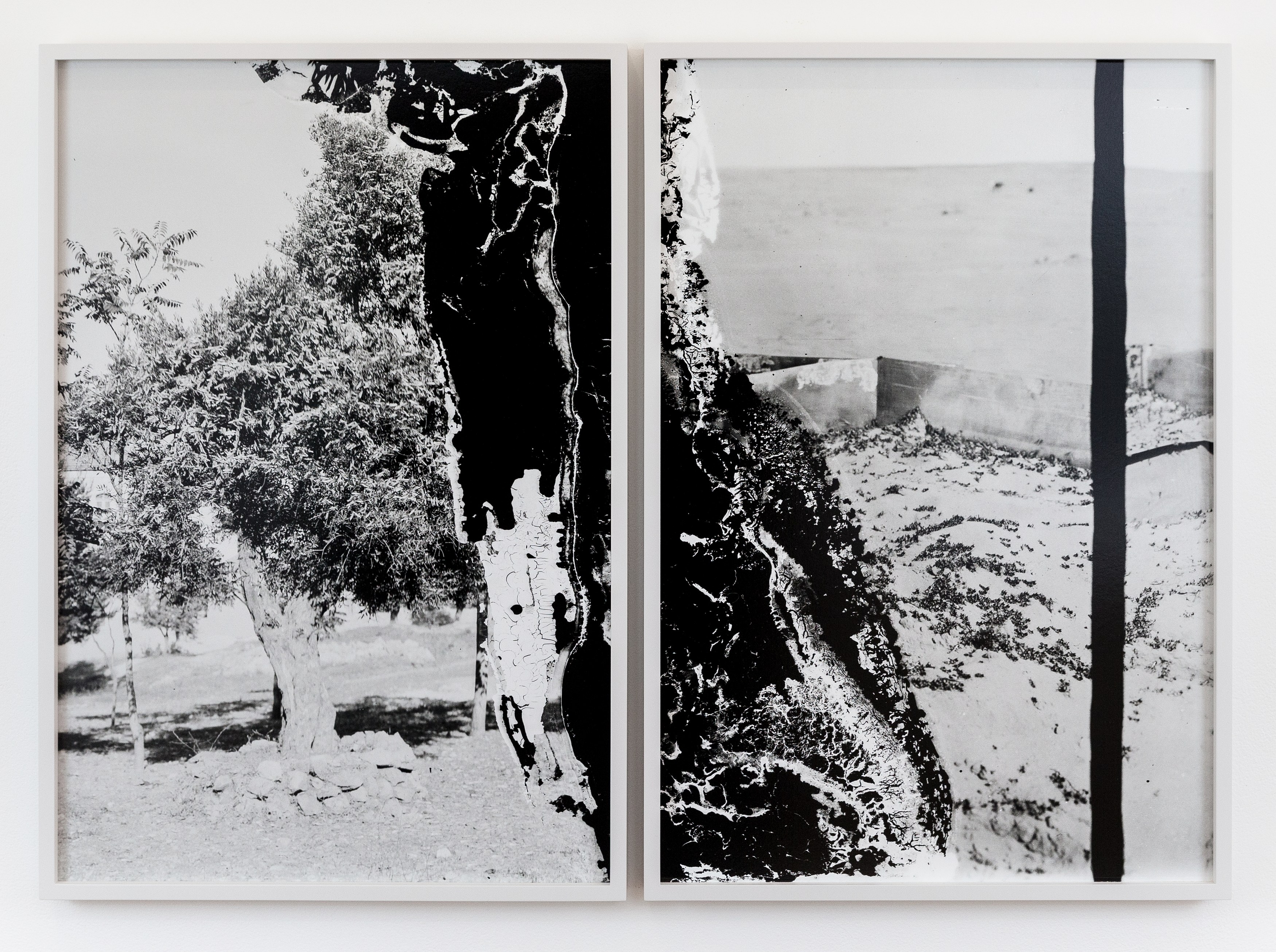 Lisa Oppenheim, The American Colony at The Approach, photo 15