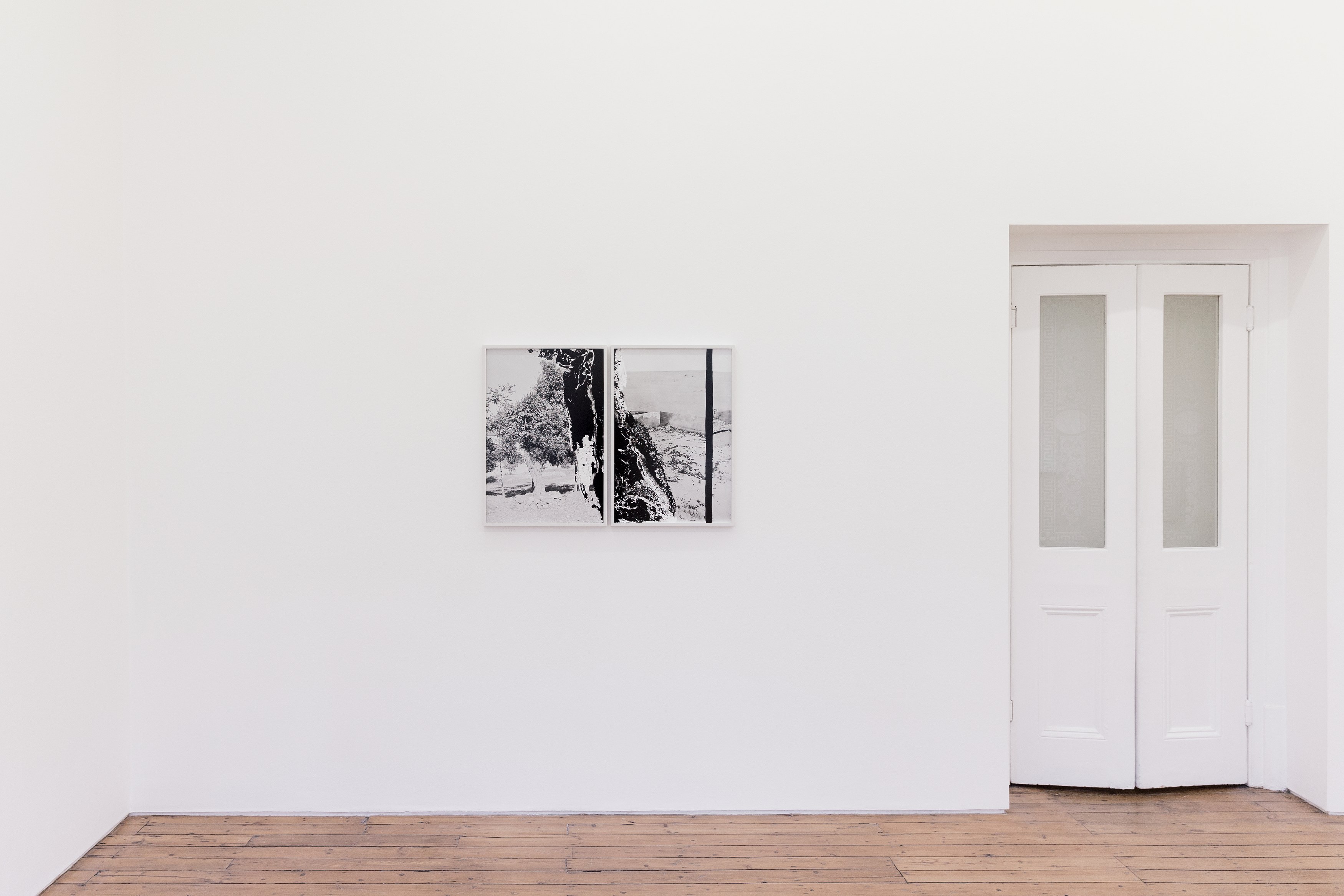Lisa Oppenheim, The American Colony at The Approach, photo 2