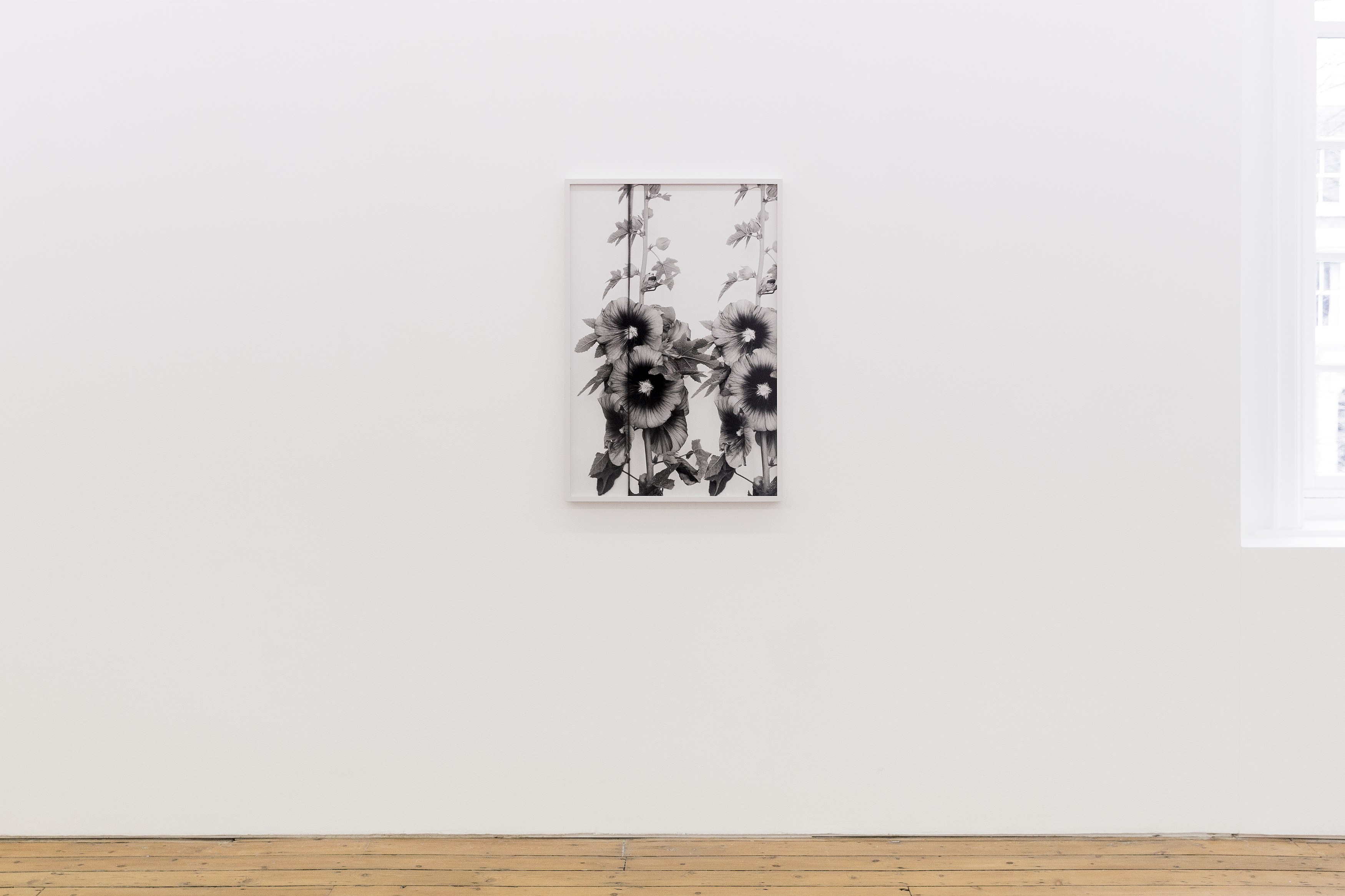 Lisa Oppenheim, The American Colony at The Approach, photo 5