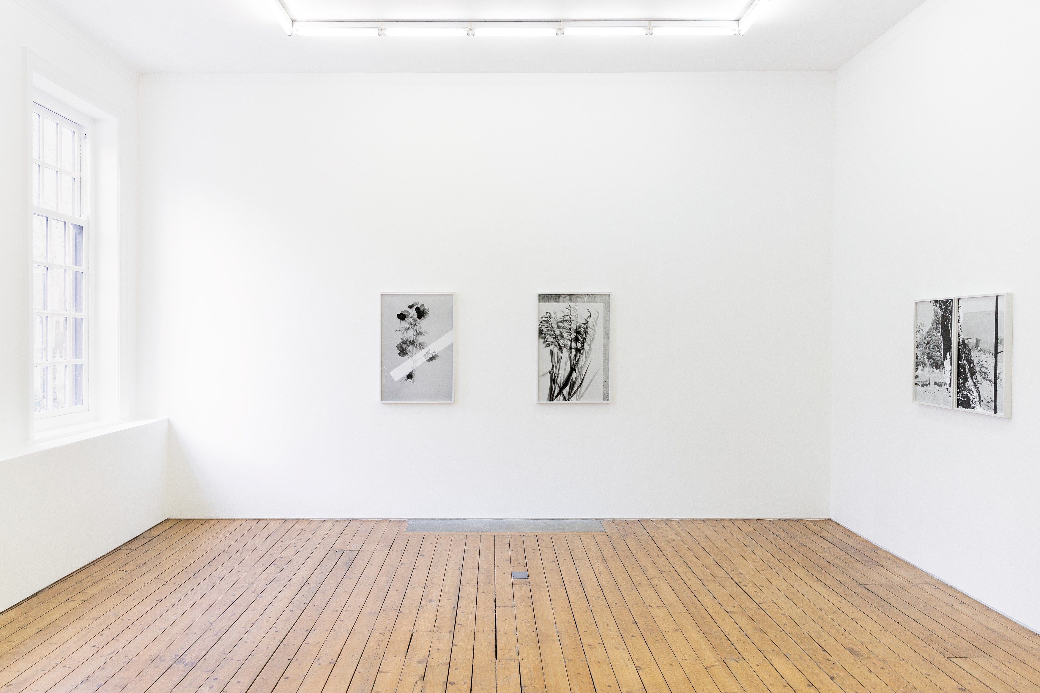 Lisa Oppenheim, The American Colony at The Approach, photo 4