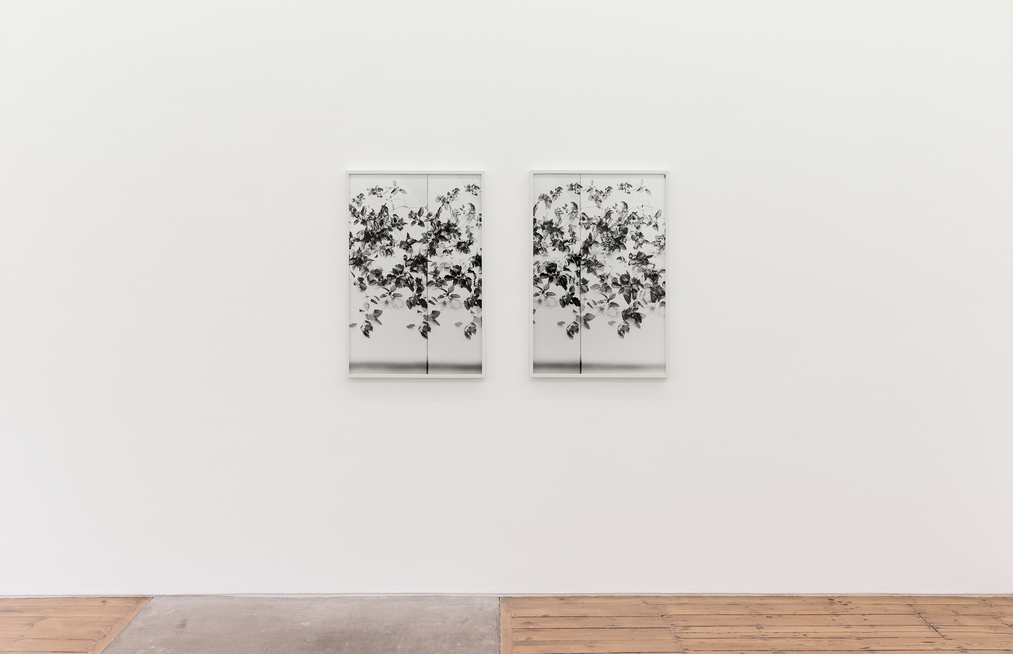Lisa Oppenheim, The American Colony at The Approach, photo 7