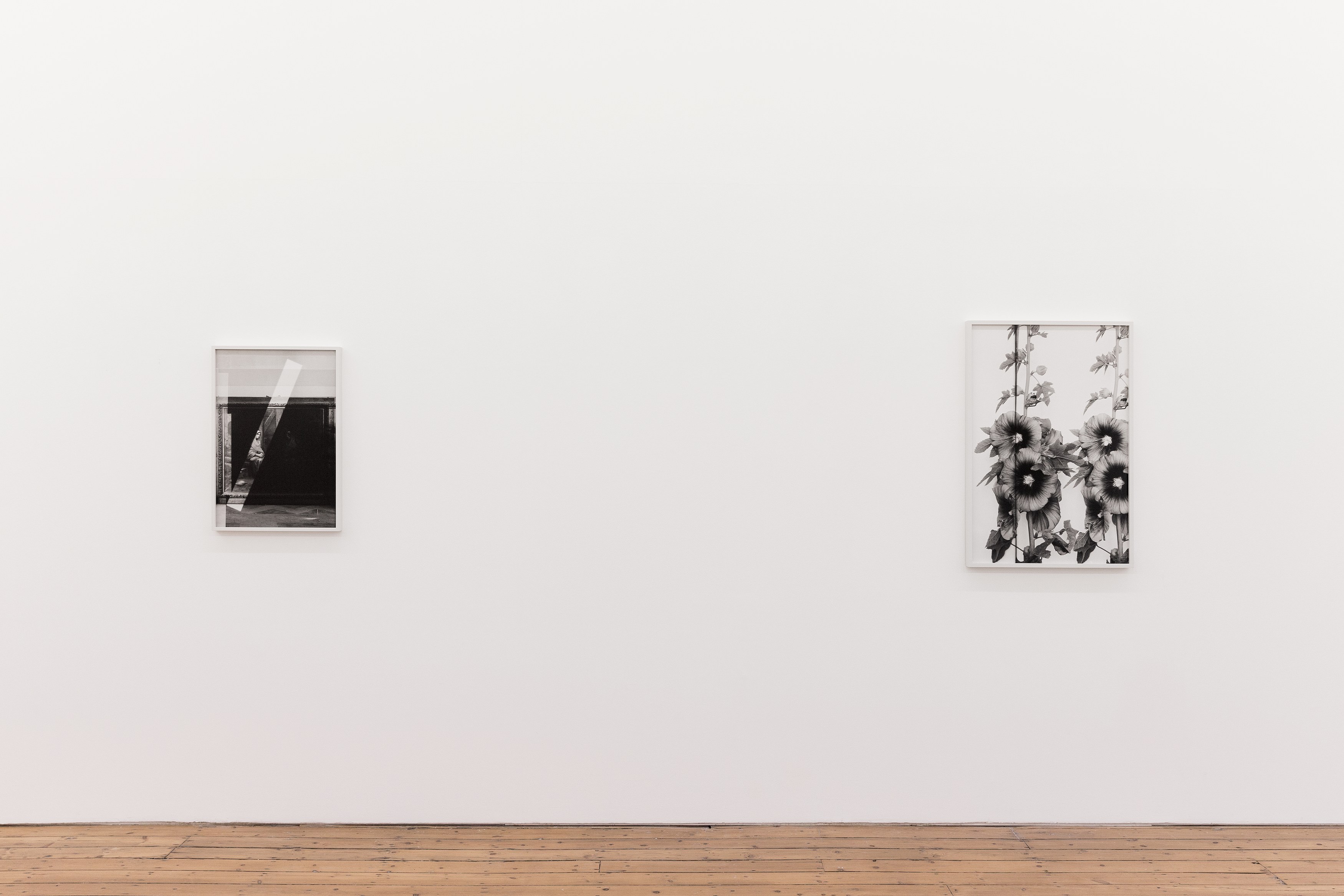 Lisa Oppenheim, The American Colony at The Approach, photo 6