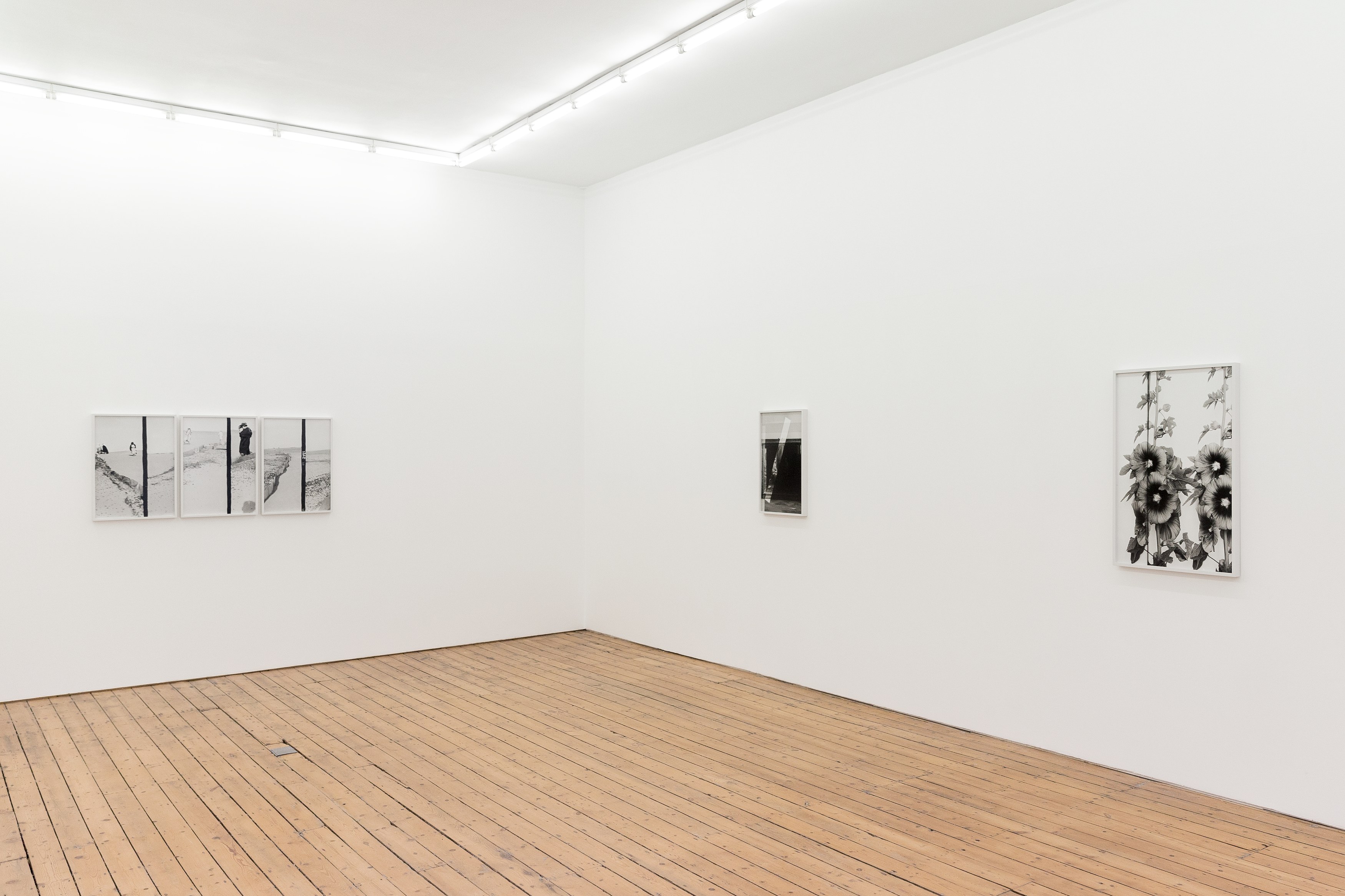 Lisa Oppenheim, The American Colony at The Approach, photo 8
