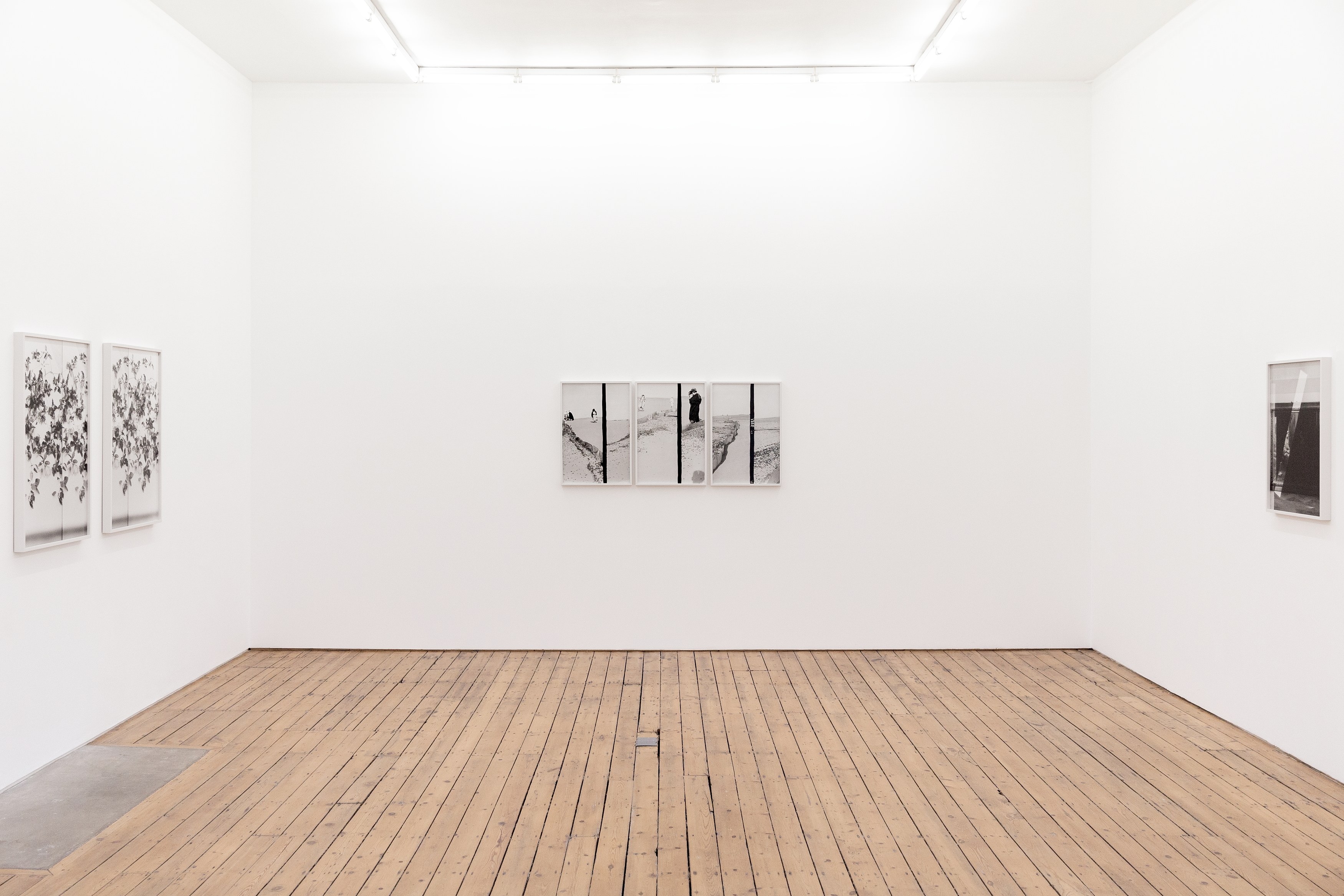 Lisa Oppenheim, The American Colony at The Approach, photo 10