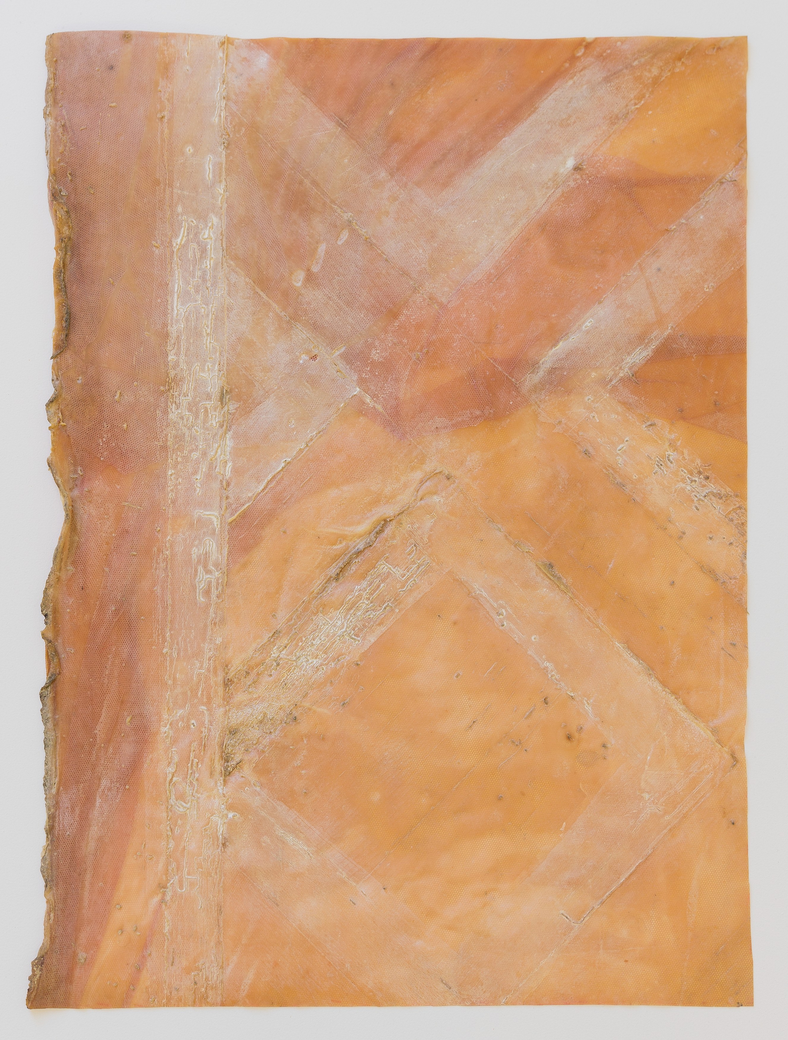 Heidi Bucher, Die Wässer und Libellenlust at The Approach, photo 57