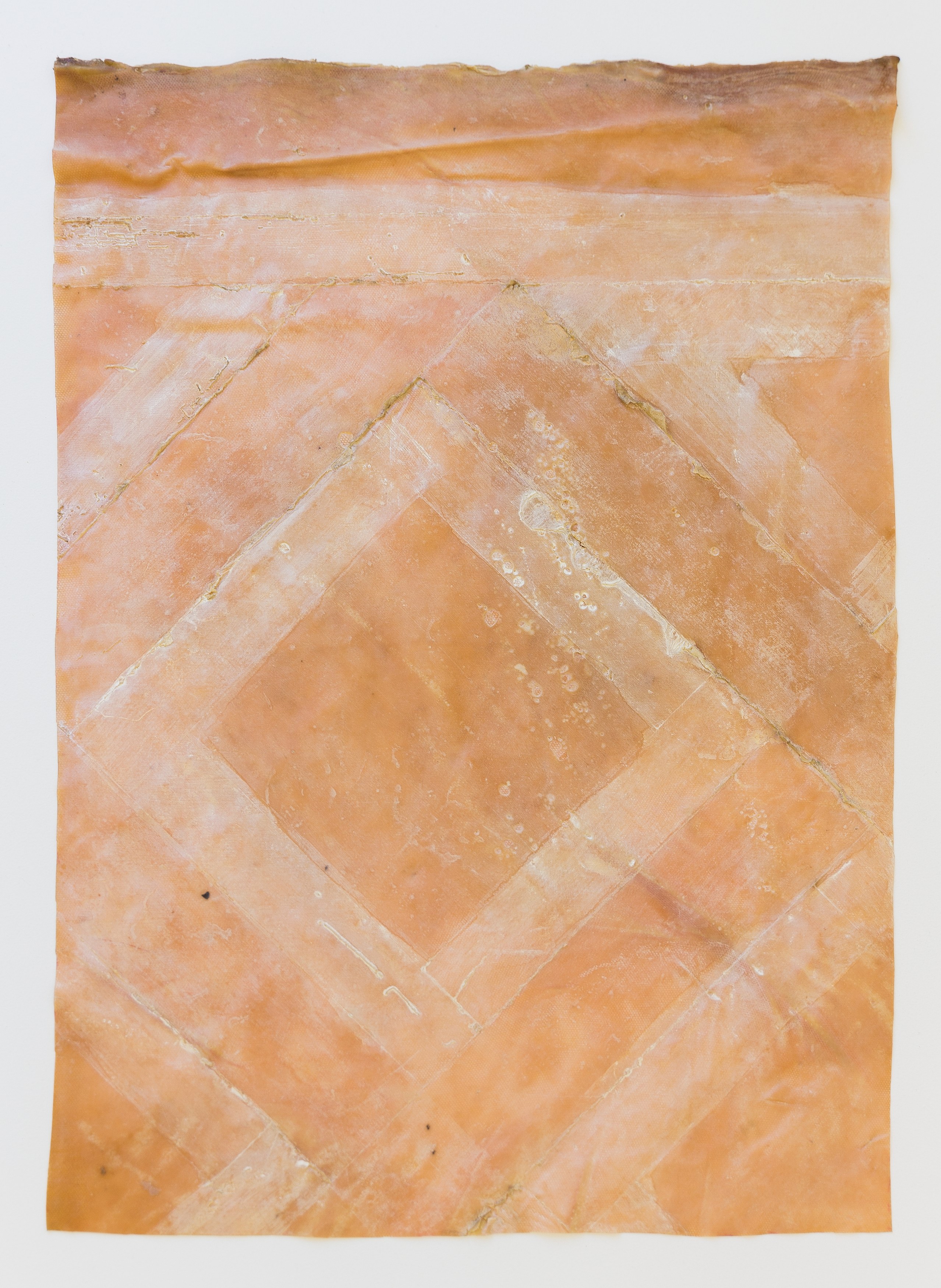 Heidi Bucher, Die Wässer und Libellenlust at The Approach, photo 59