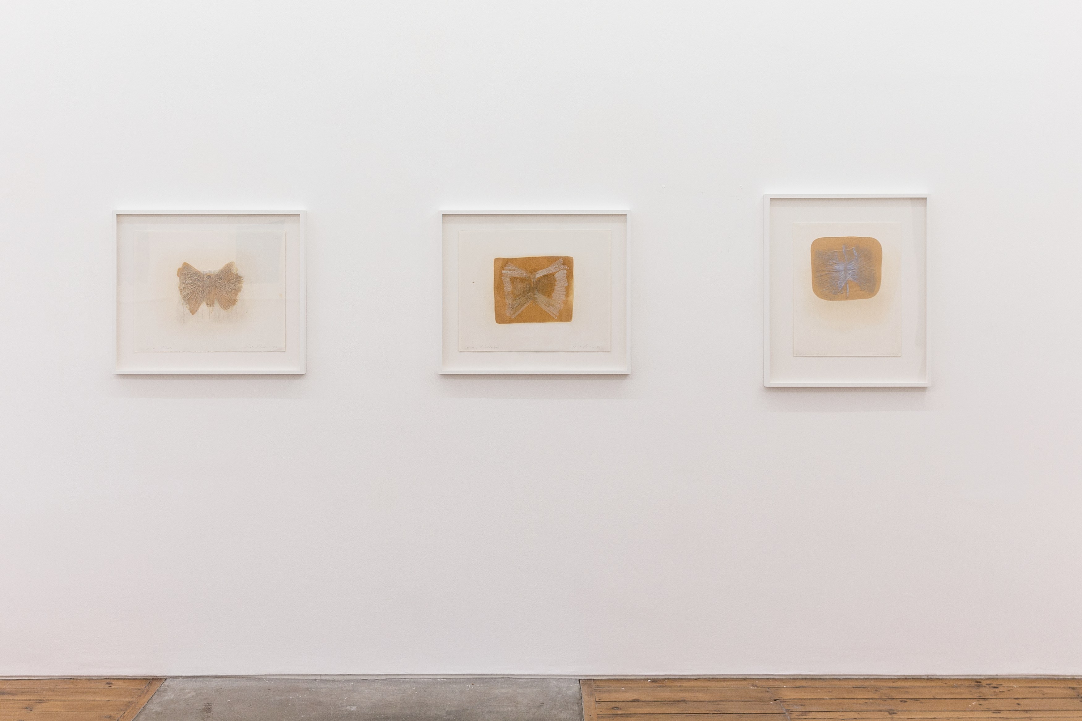 Heidi Bucher, Die Wässer und Libellenlust at The Approach, photo 4
