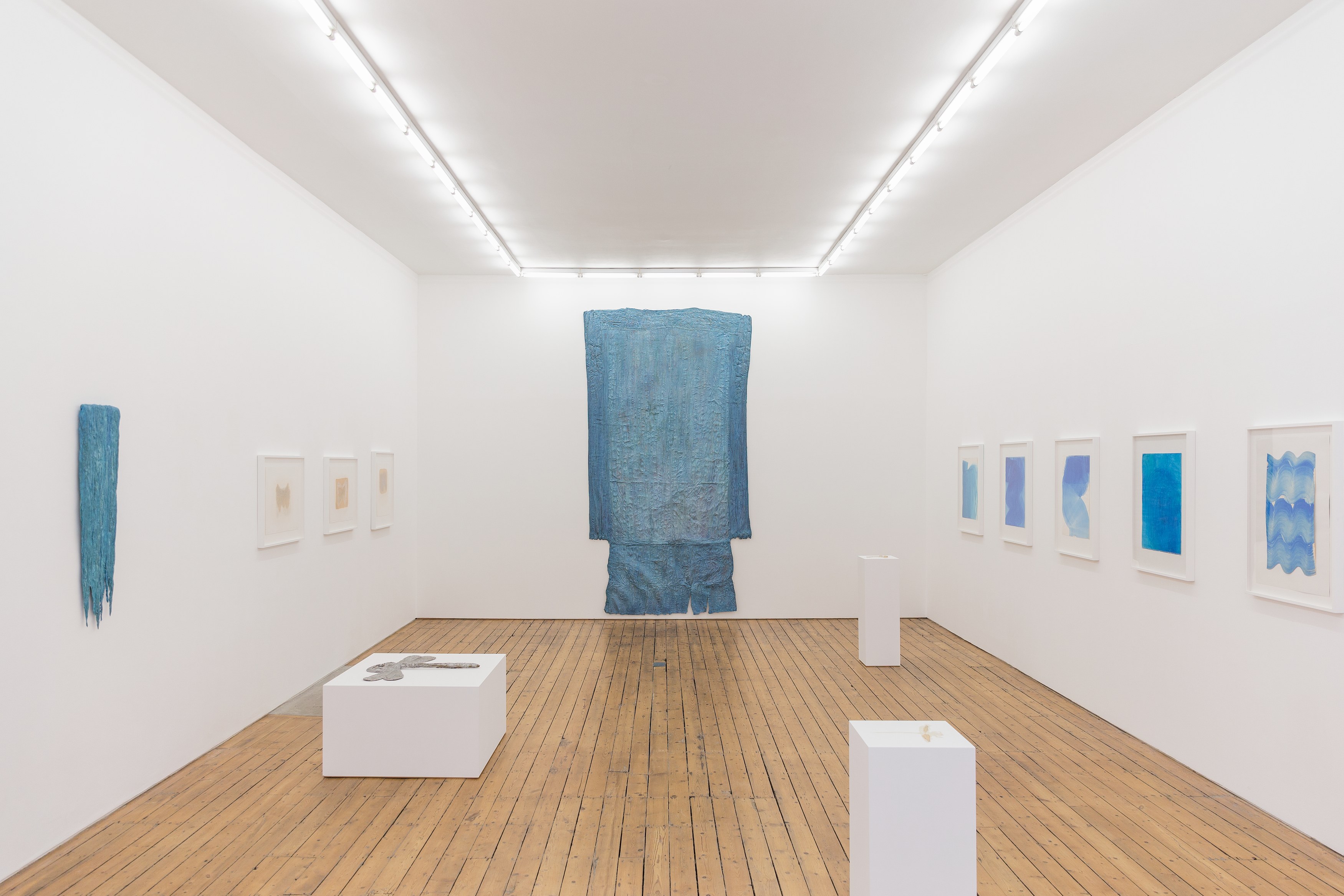 Heidi Bucher, Die Wässer und Libellenlust at The Approach, photo 3
