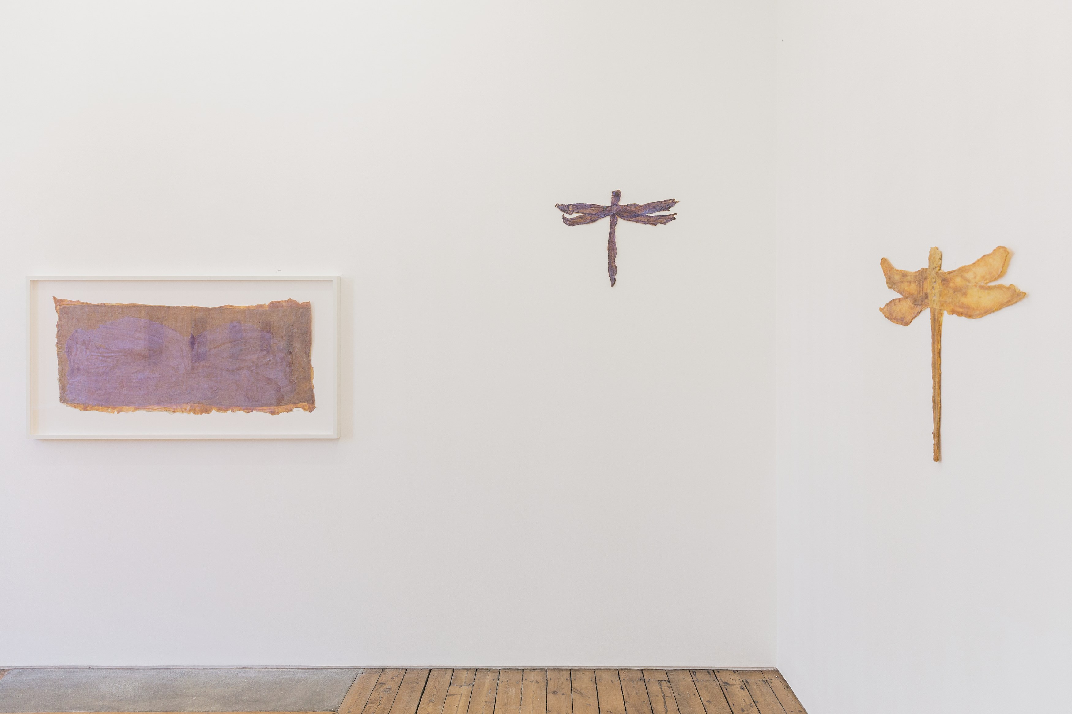 Heidi Bucher, Die Wässer und Libellenlust at The Approach, photo 13
