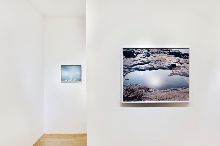 Risaku Suzuki | Contemporary Art Library