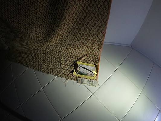 Image 11 of 30