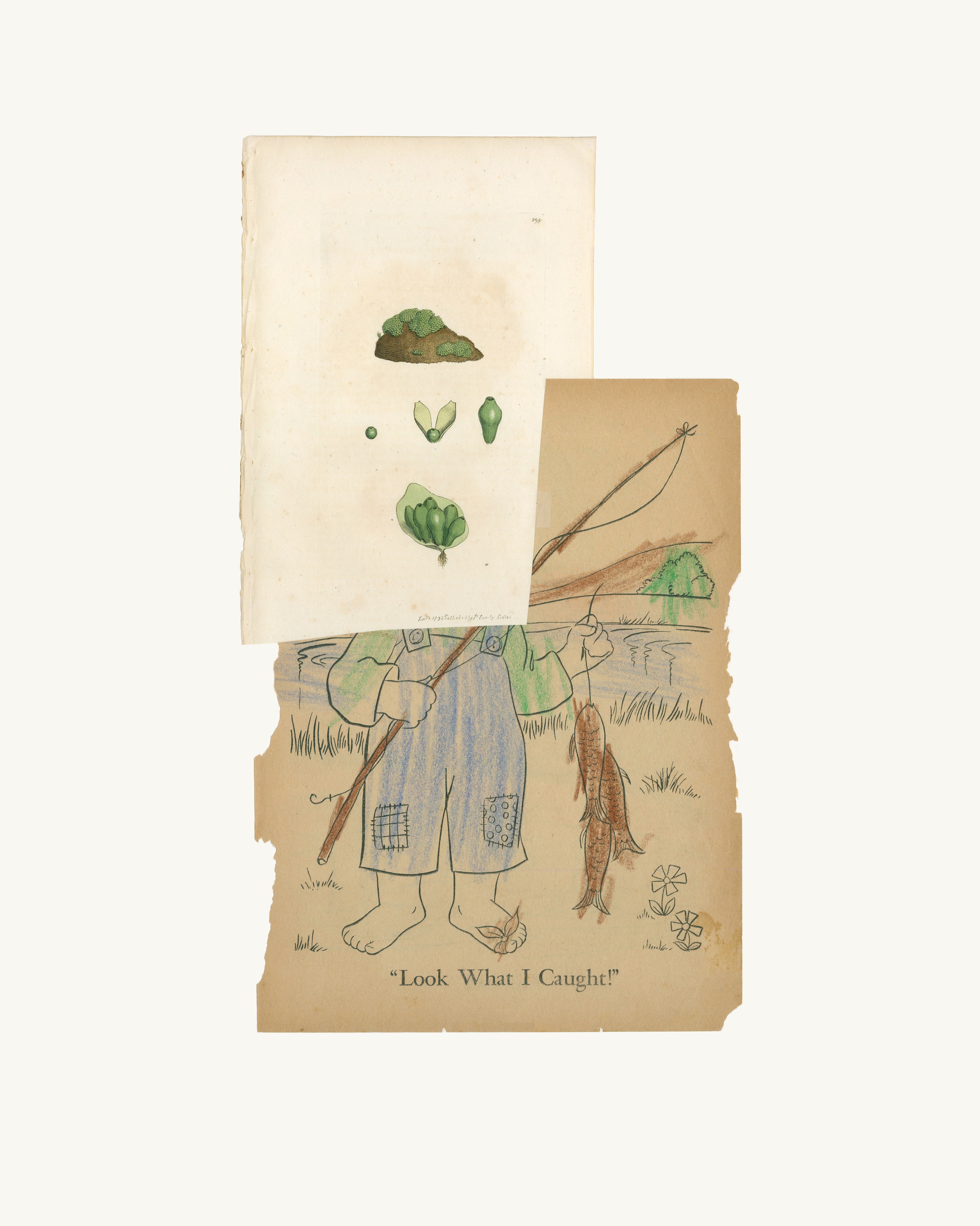 Susan Te Kahurangi King, Under the Spell of the Image at The Approach, photo 13