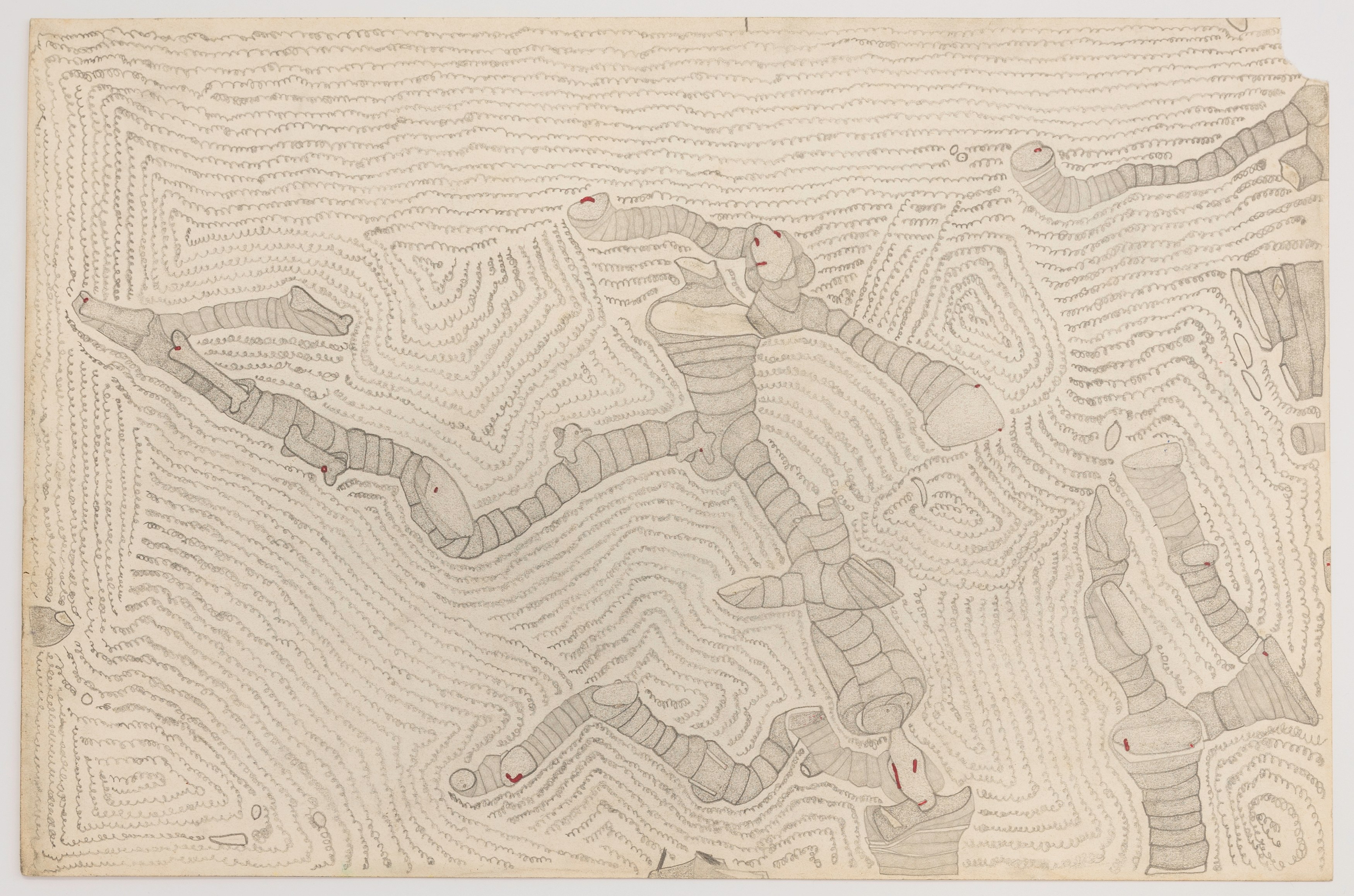 Susan Te Kahurangi King, Under the Spell of the Image at The Approach, photo 16