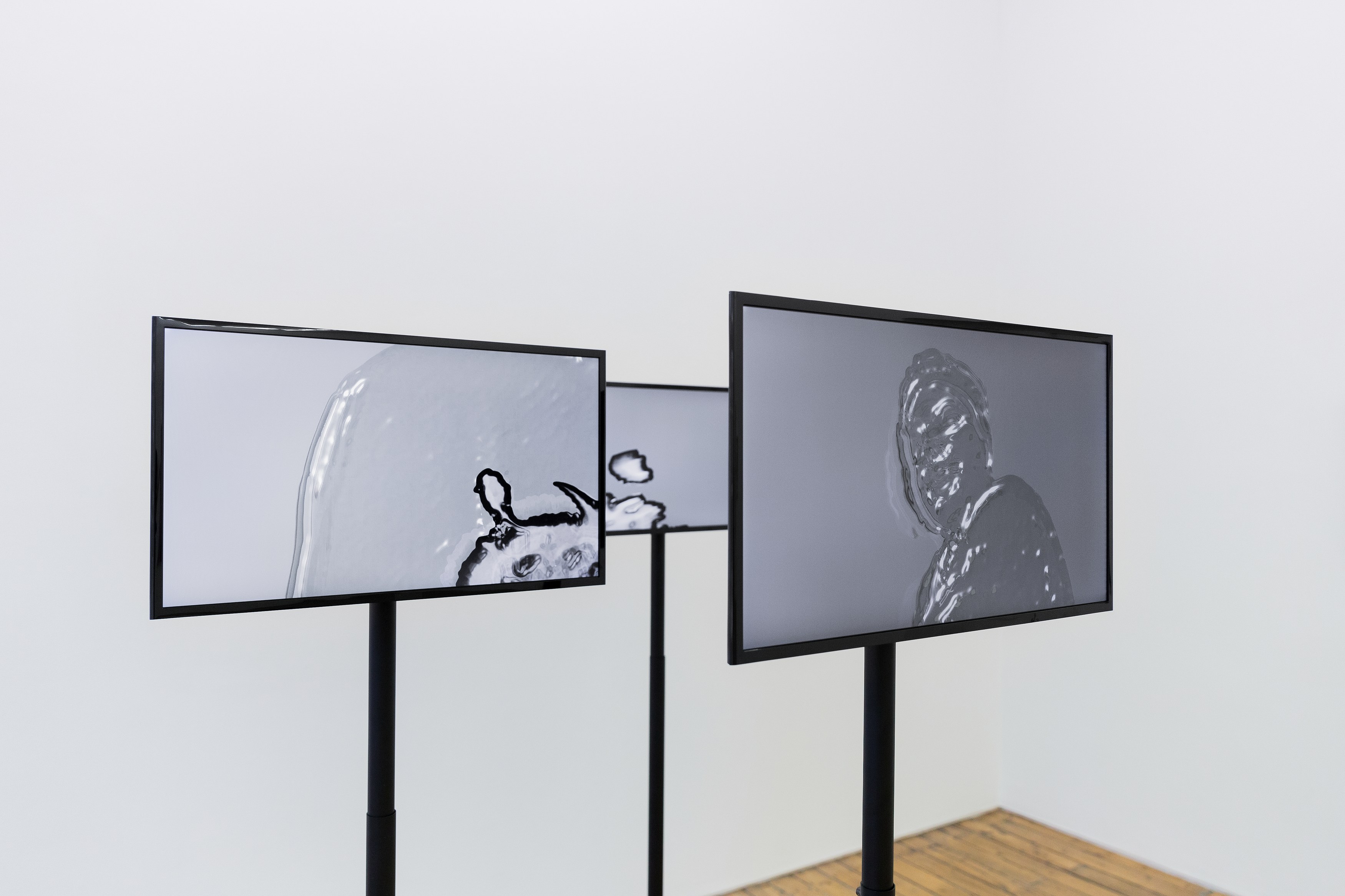 Sascha Braunig, Sandra Mujinga, Maria Pinińska-Bereś, SHAPESHIFTERS at The Approach, photo 27