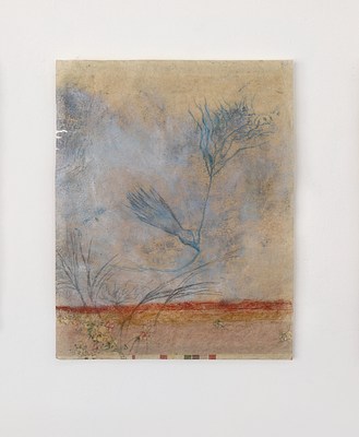 Image 8 of 38