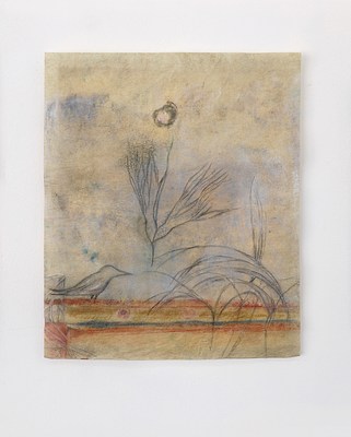 Image 9 of 38