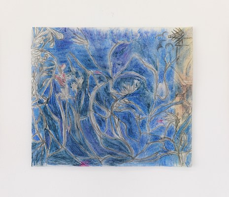 Image 11 of 38