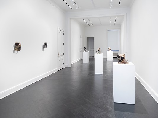 Image 1 of 31