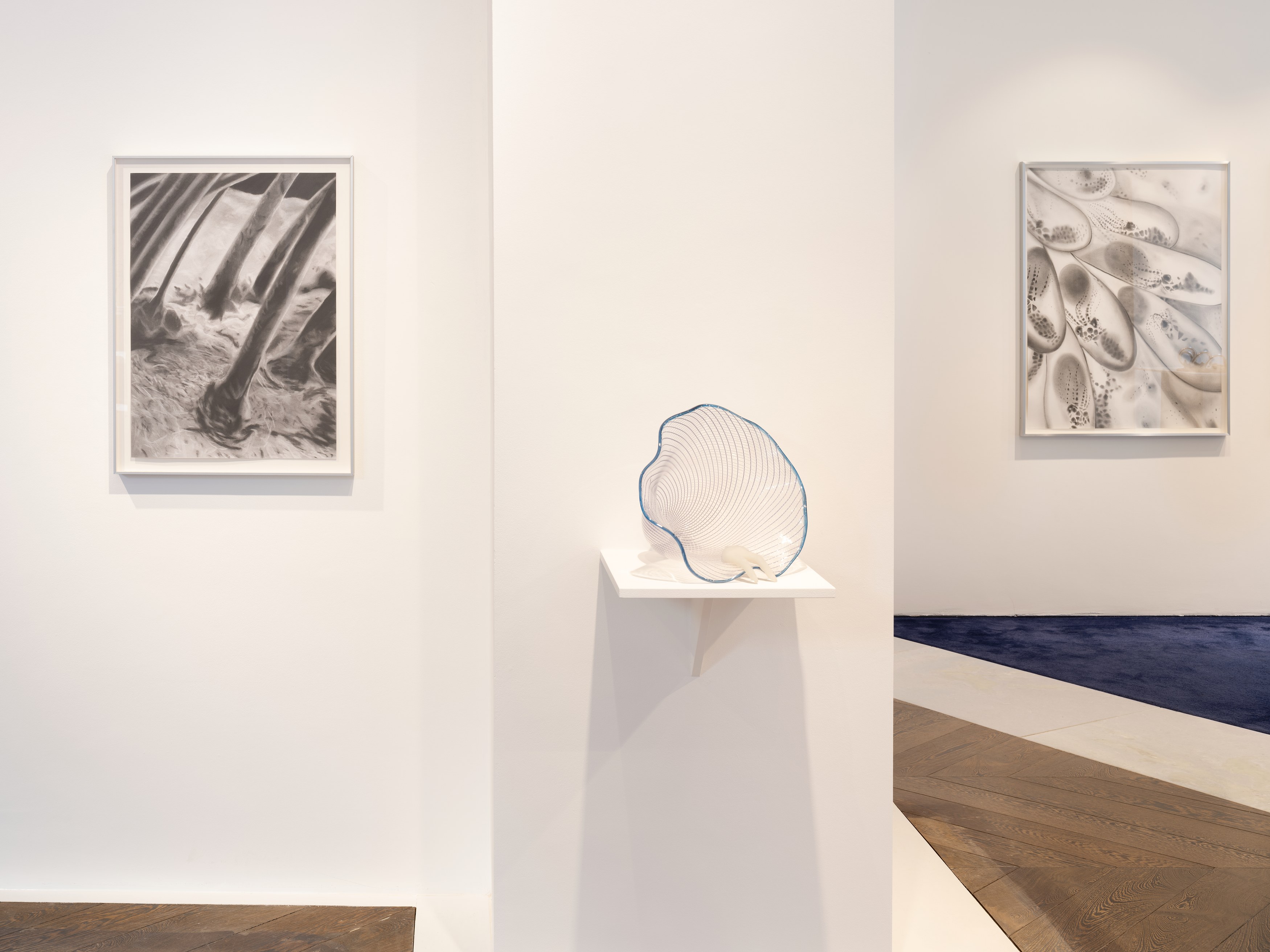 Kelly Akashi, Juan Antonio Olivares, Fauna at Maria Bernheim, photo 7