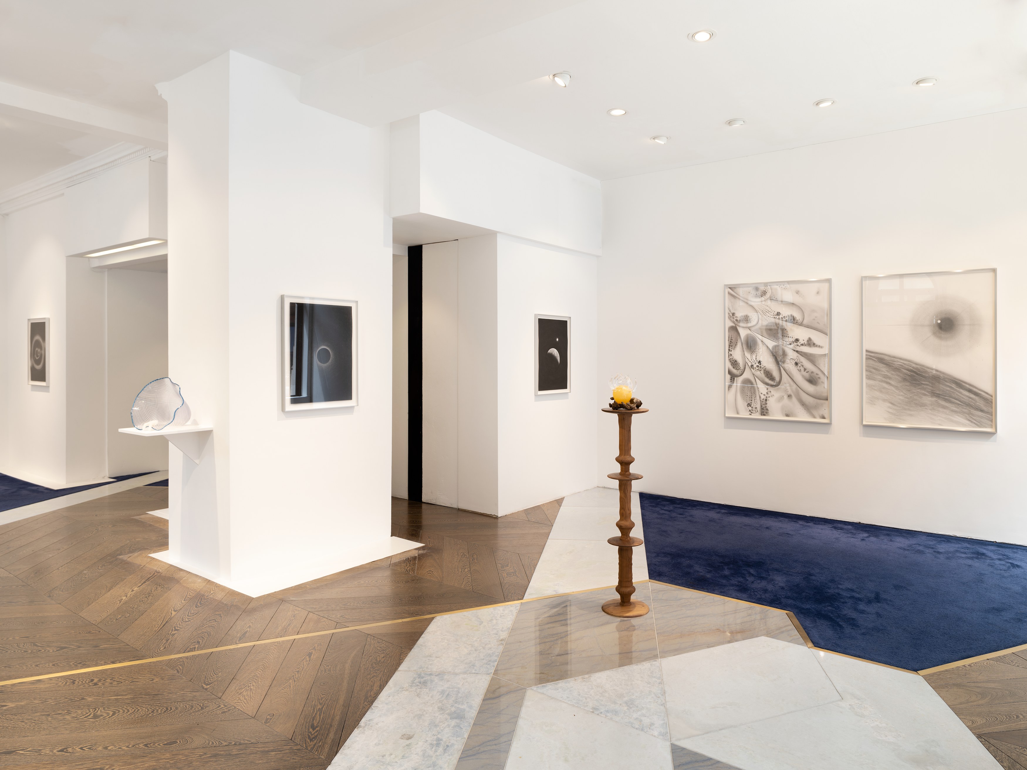 Kelly Akashi, Juan Antonio Olivares, Fauna at Maria Bernheim, photo 2