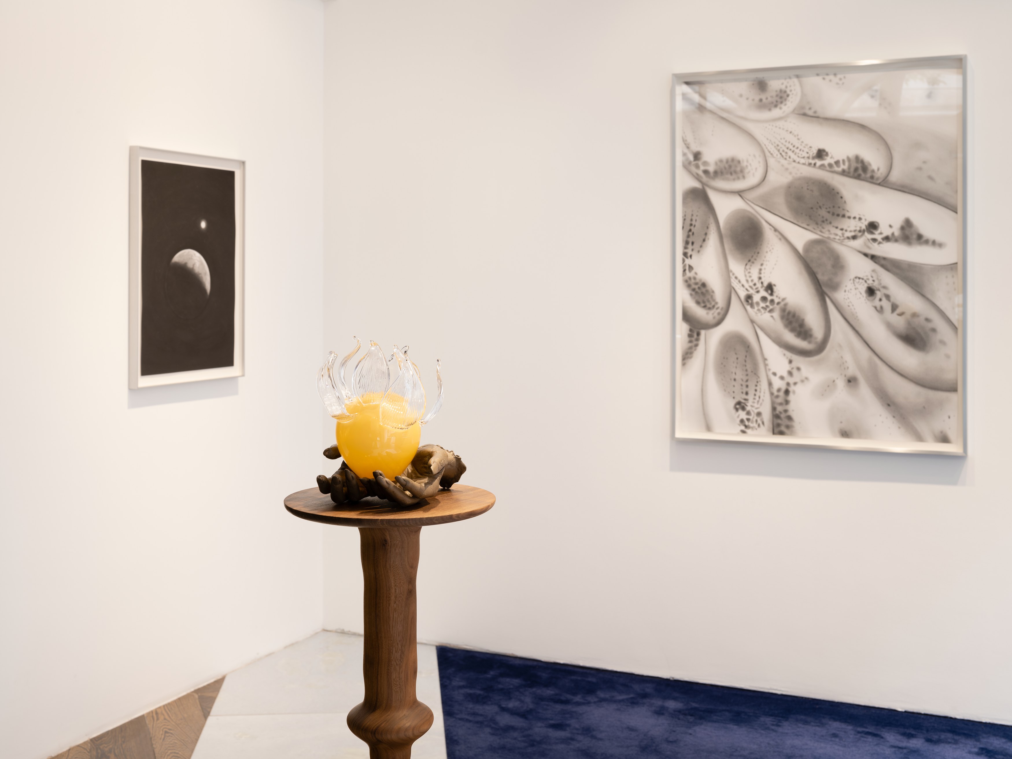 Kelly Akashi, Juan Antonio Olivares, Fauna at Maria Bernheim, photo 4