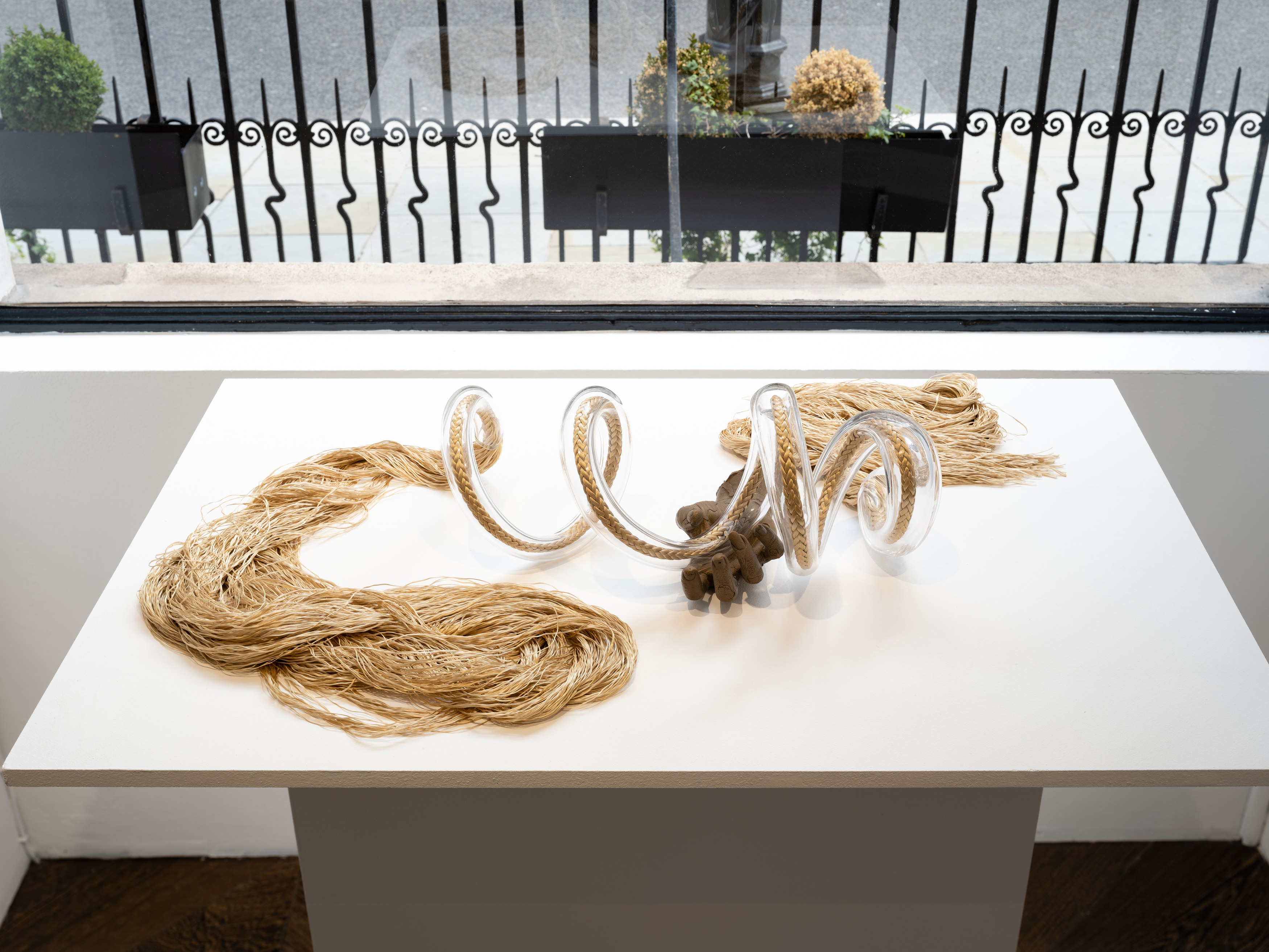 Kelly Akashi, Juan Antonio Olivares, Fauna at Maria Bernheim, photo 5