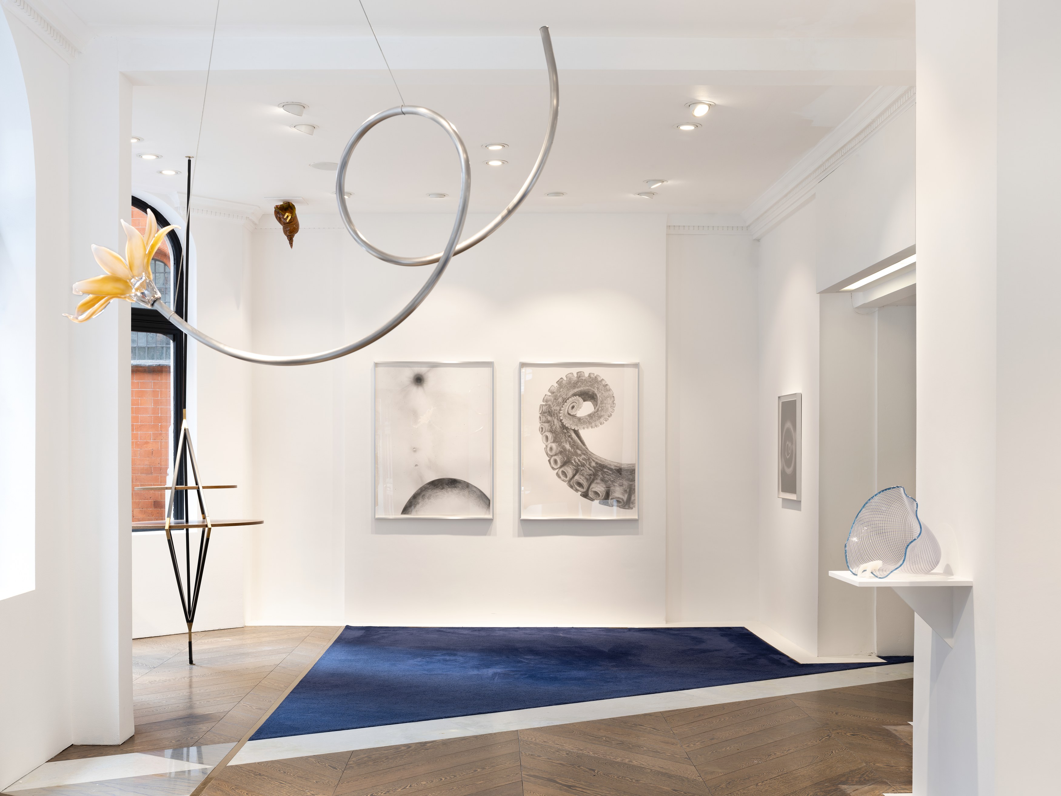 Kelly Akashi, Juan Antonio Olivares, Fauna at Maria Bernheim, photo 9