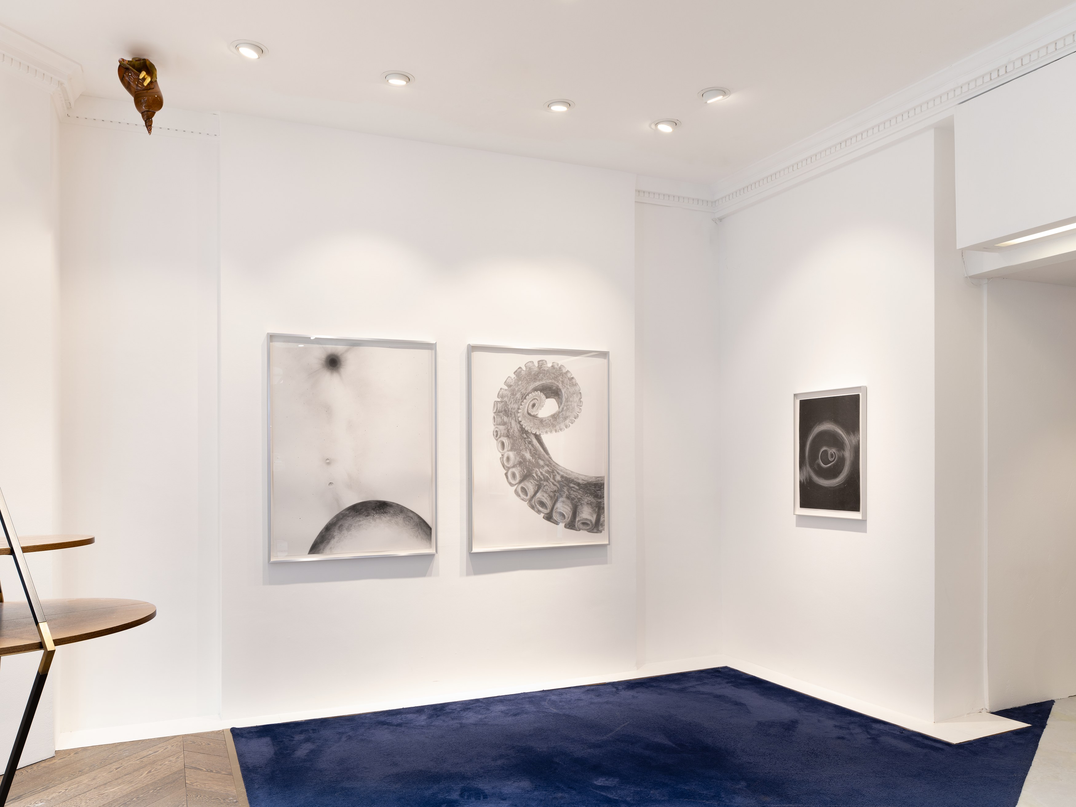 Kelly Akashi, Juan Antonio Olivares, Fauna at Maria Bernheim, photo 10