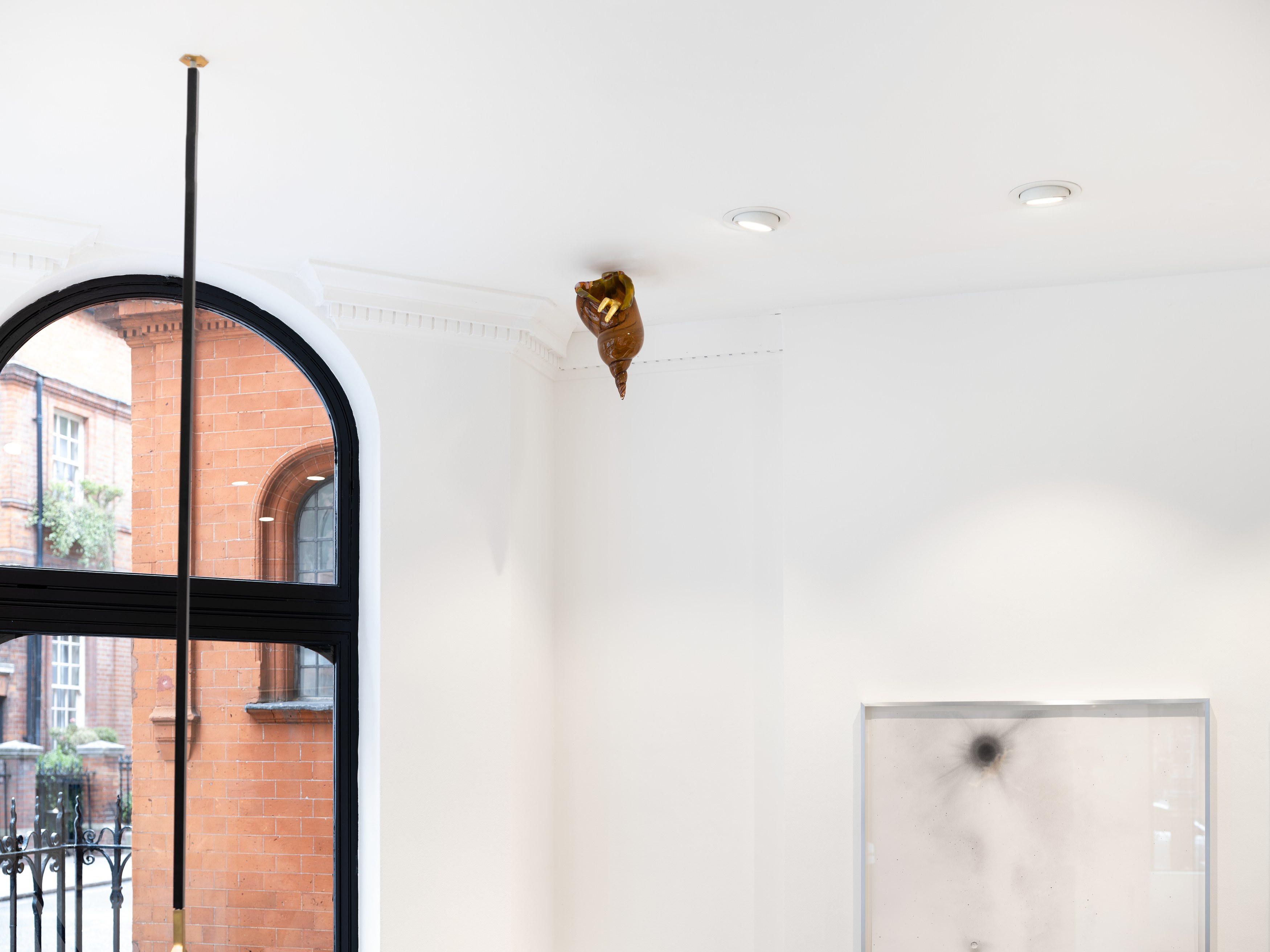 Kelly Akashi, Juan Antonio Olivares, Fauna at Maria Bernheim, photo 11