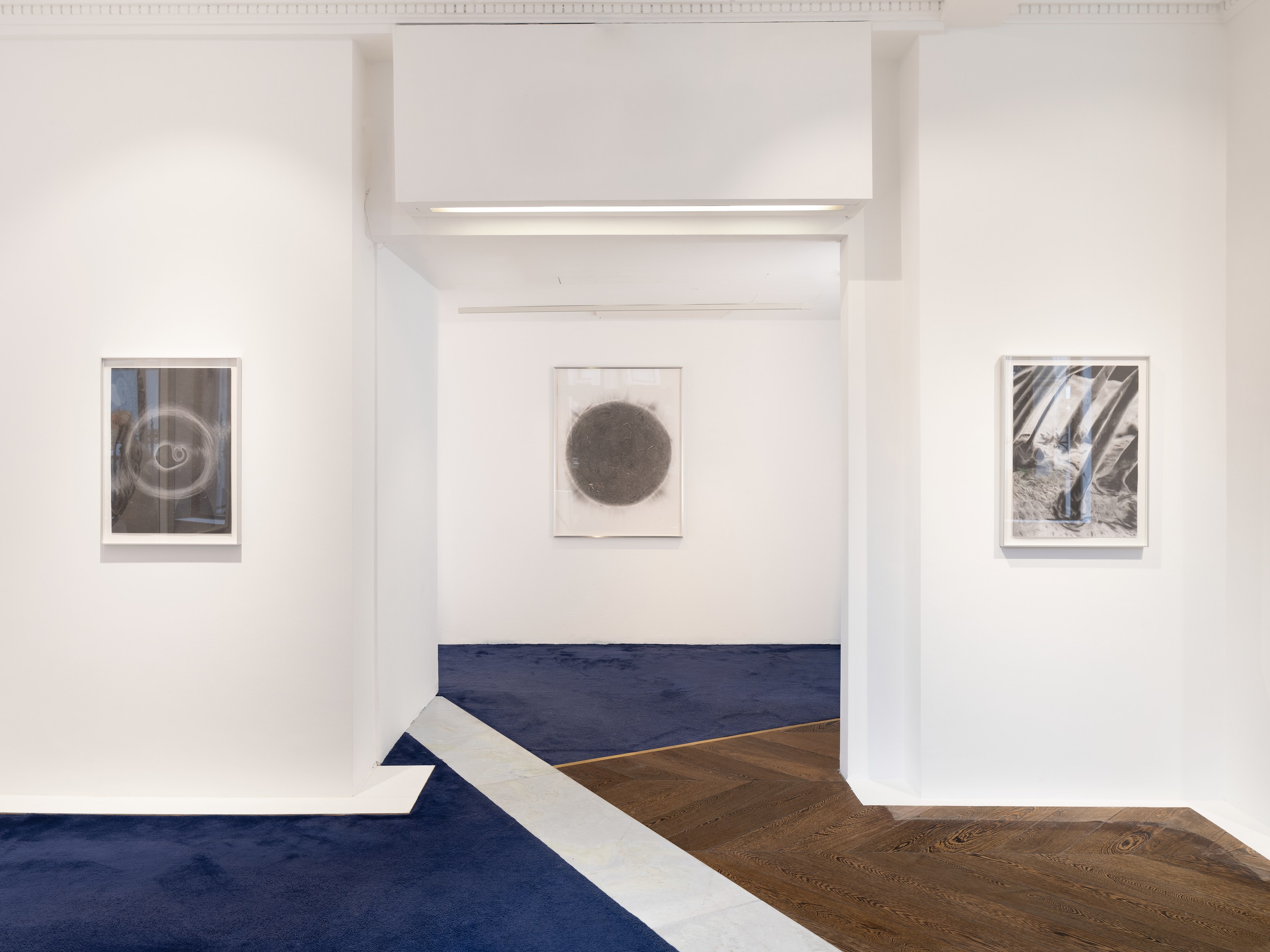 Kelly Akashi, Juan Antonio Olivares, Fauna at Maria Bernheim, photo 13