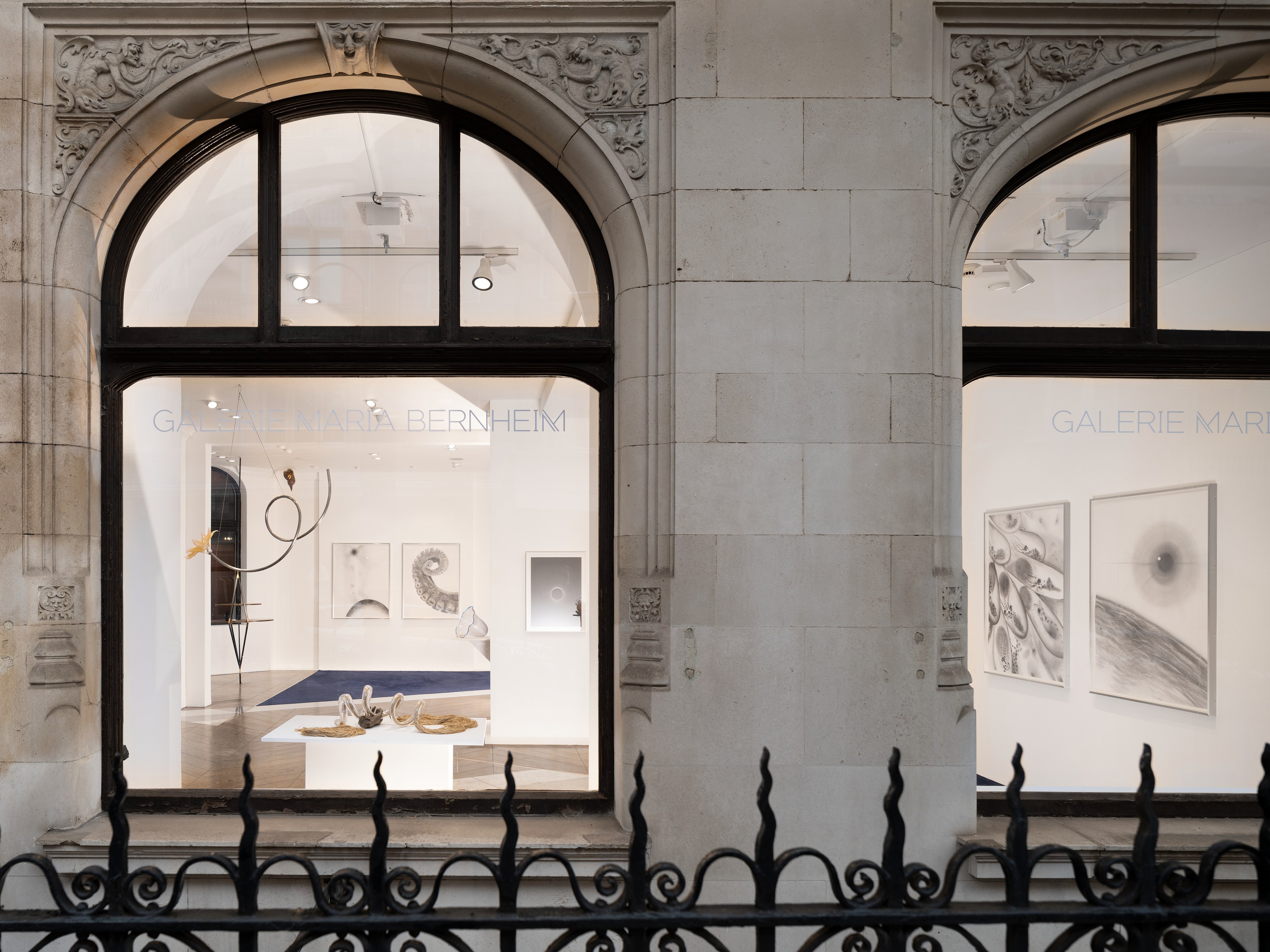 Kelly Akashi, Juan Antonio Olivares, Fauna at Maria Bernheim, photo 14