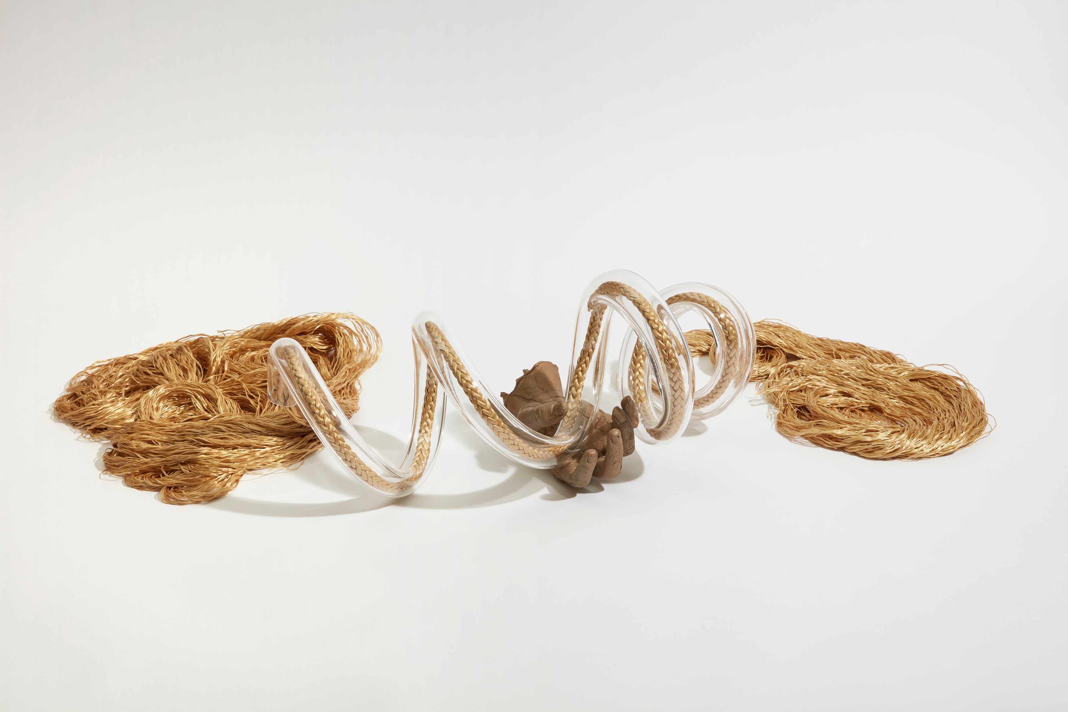 Kelly Akashi, Juan Antonio Olivares, Fauna at Maria Bernheim, photo 18