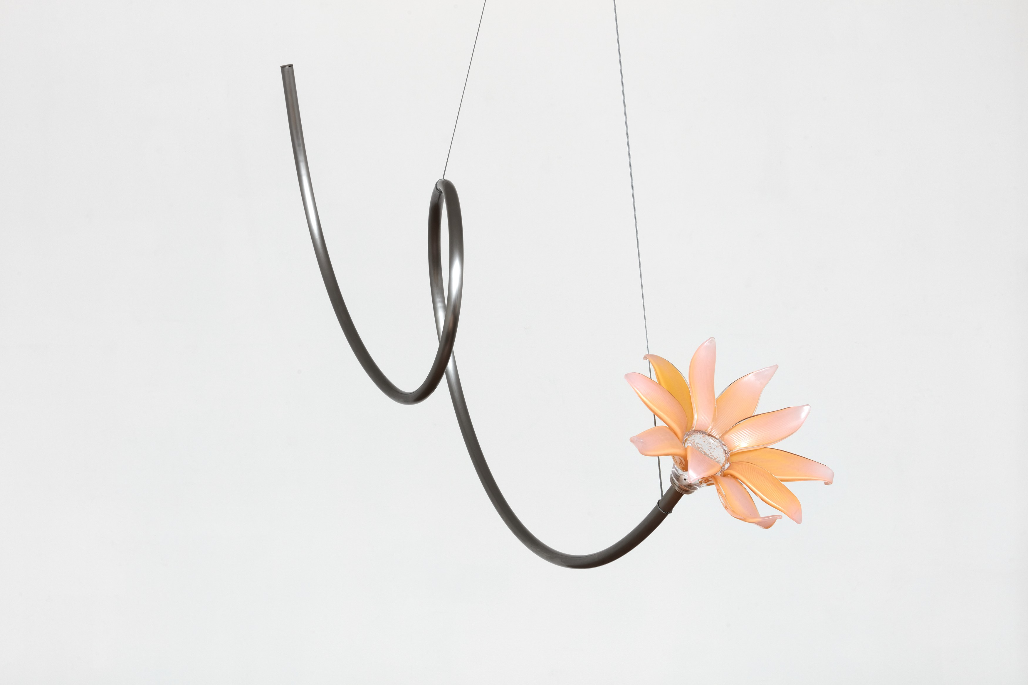 Kelly Akashi, Juan Antonio Olivares, Fauna at Maria Bernheim, photo 39