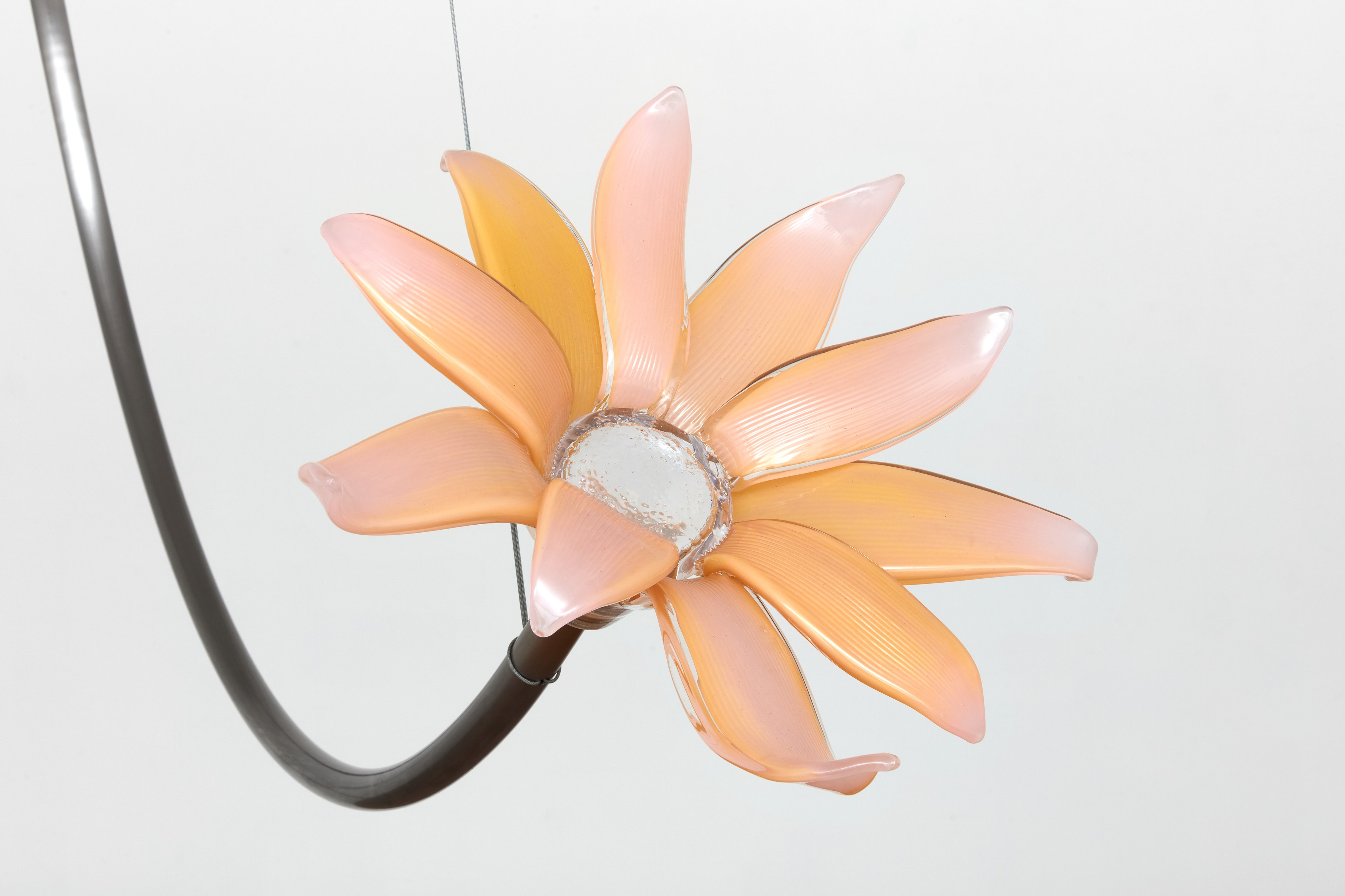 Kelly Akashi, Juan Antonio Olivares, Fauna at Maria Bernheim, photo 42