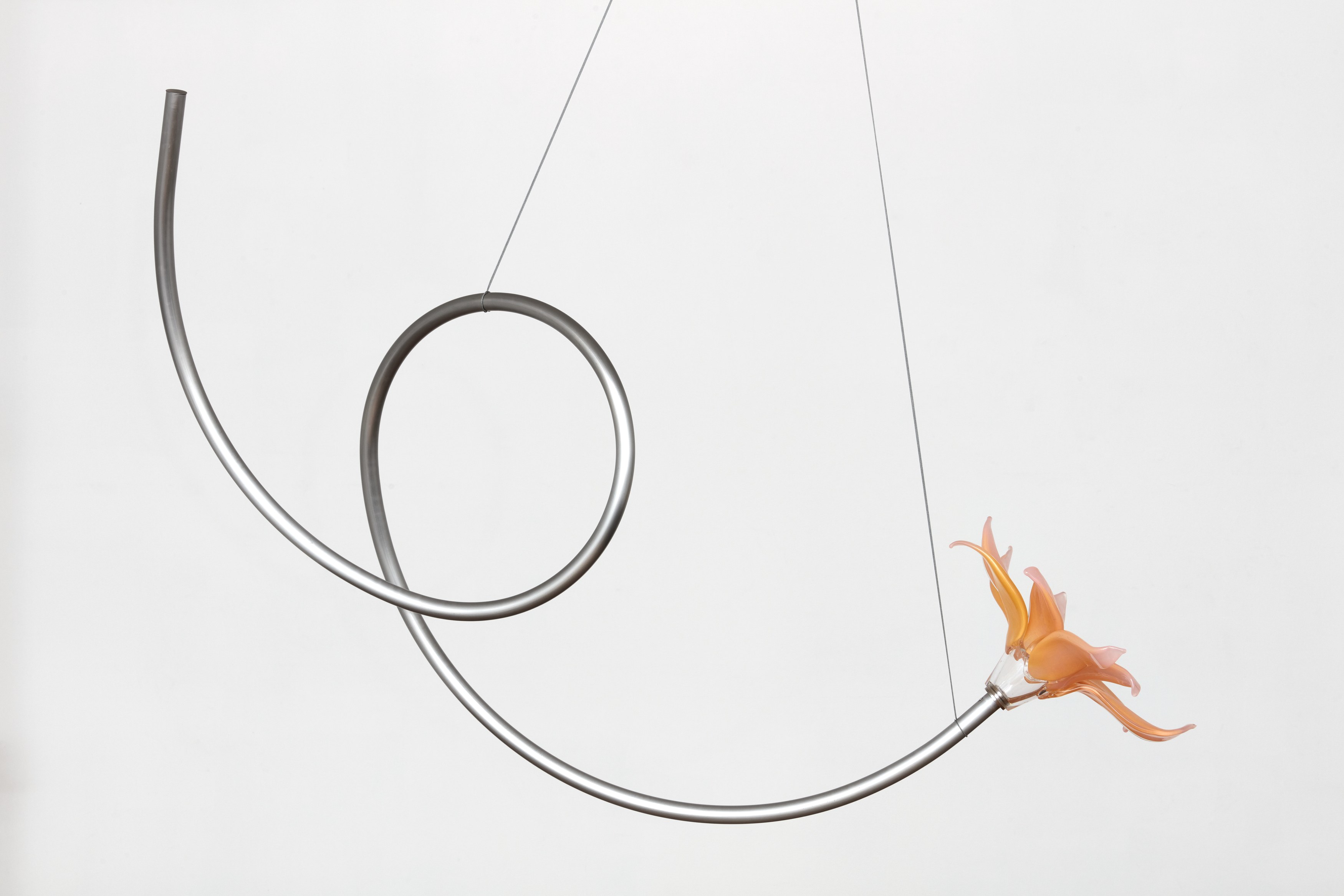 Kelly Akashi, Juan Antonio Olivares, Fauna at Maria Bernheim, photo 40