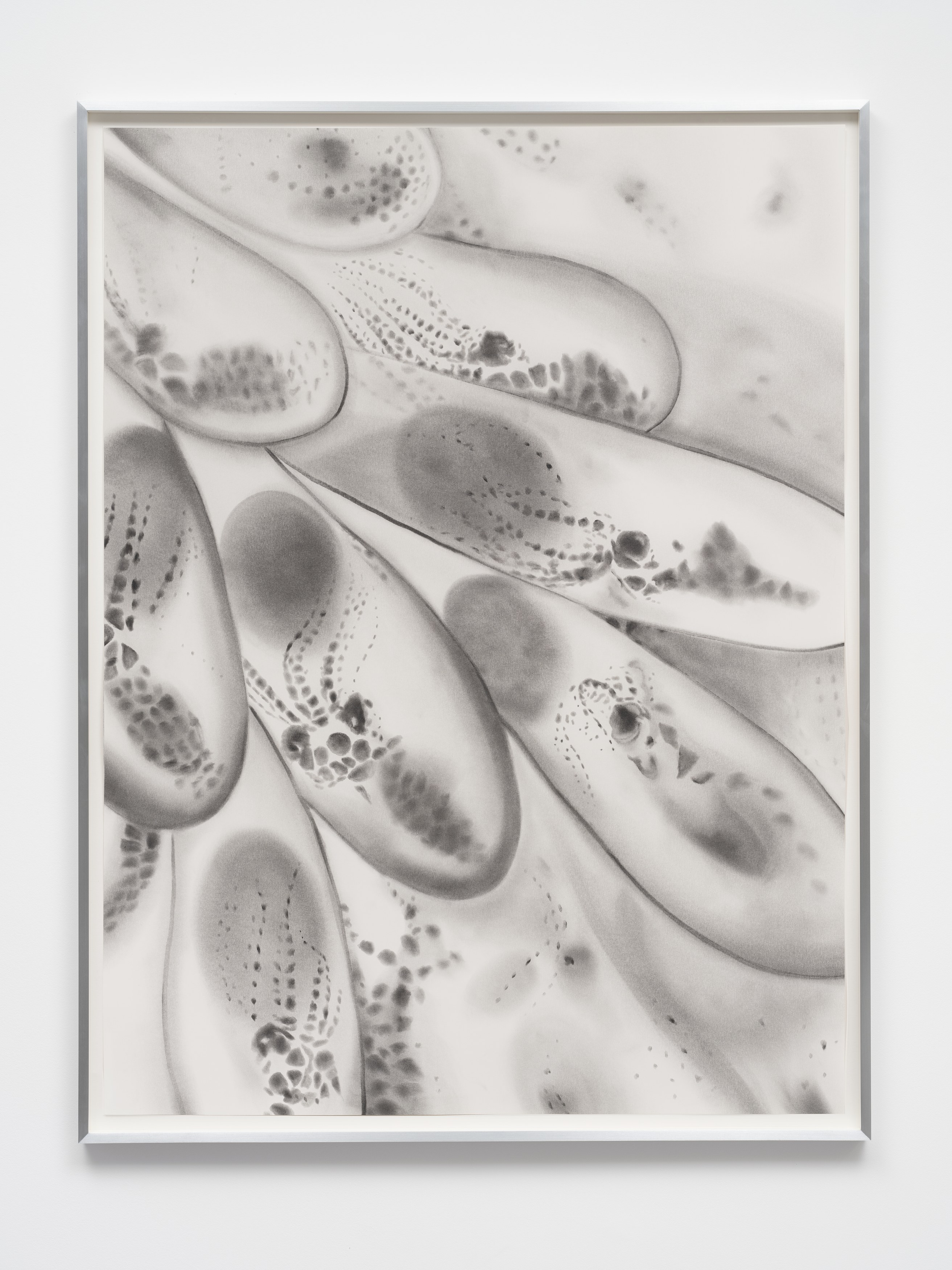Kelly Akashi, Juan Antonio Olivares, Fauna at Maria Bernheim, photo 48