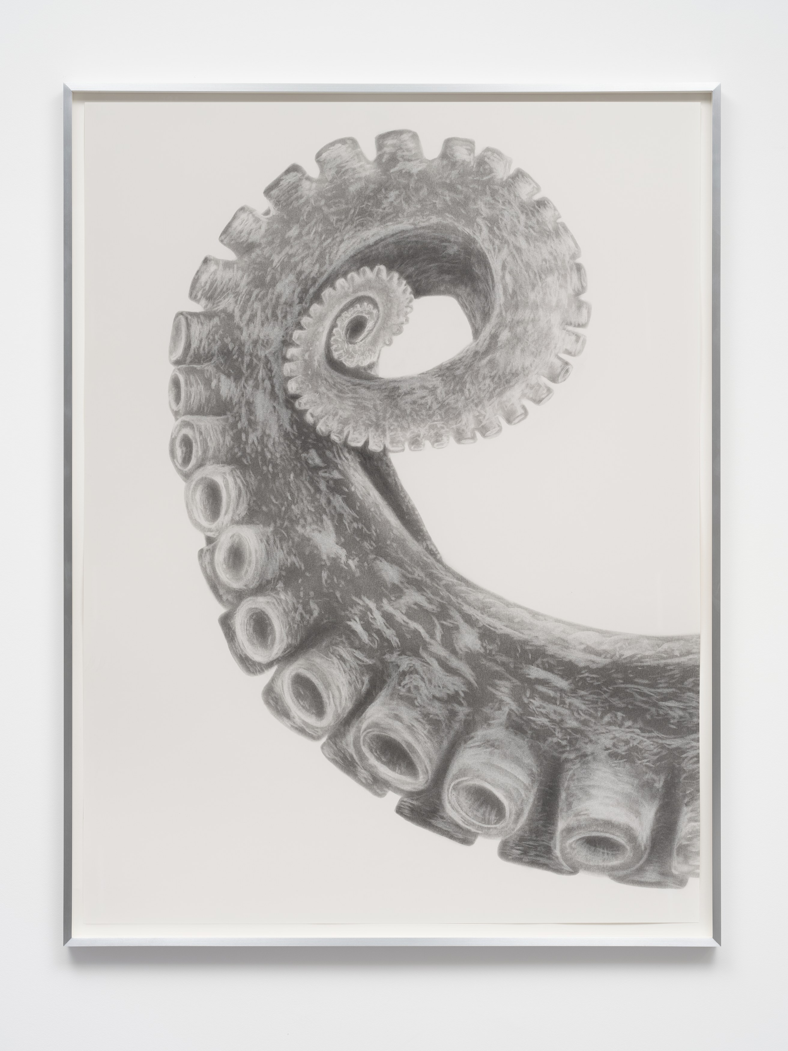 Kelly Akashi, Juan Antonio Olivares, Fauna at Maria Bernheim, photo 50