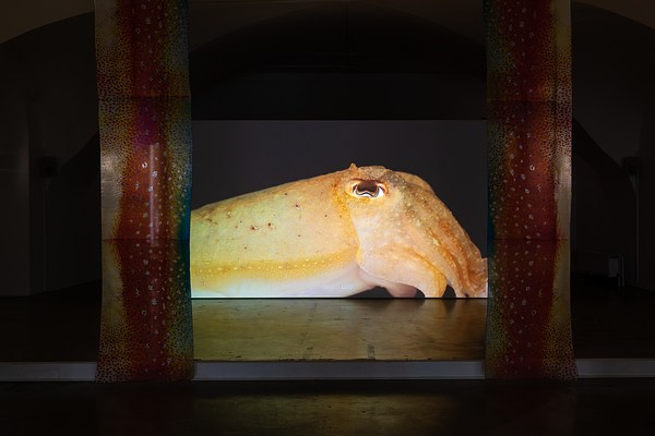 Image 2 of 32