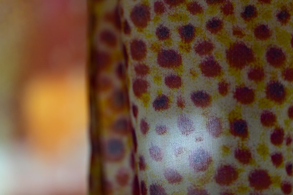 Image 12 of 32