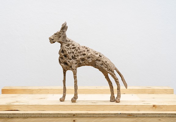 Image 10 of 25