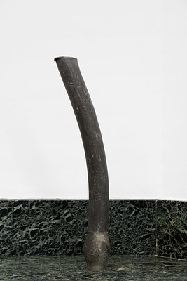 Image 16 of 21