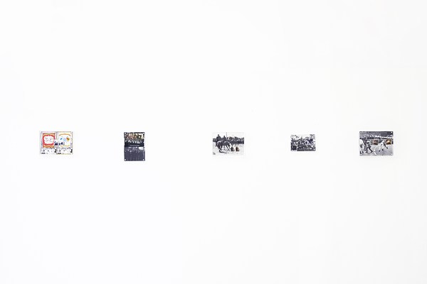 Image 6 of 16