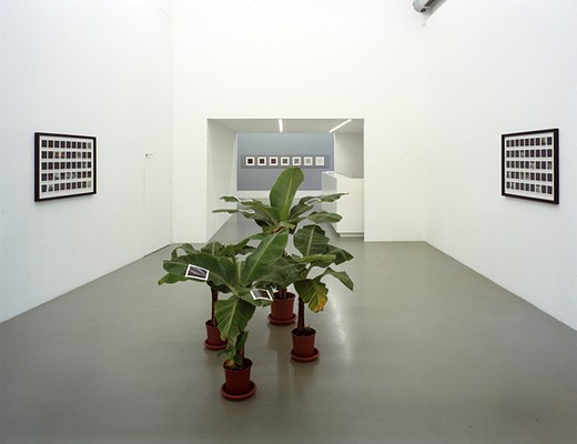 Image 2 of 8