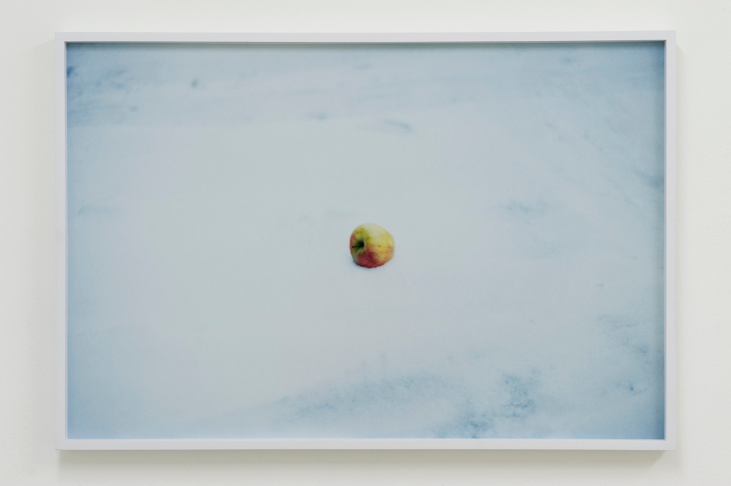 Pierre Joseph, Shimabuku, Pierre Joseph: From Apple Core to Glass | Shimabuku: Kaki and Tomato at Air de Paris, photo 26