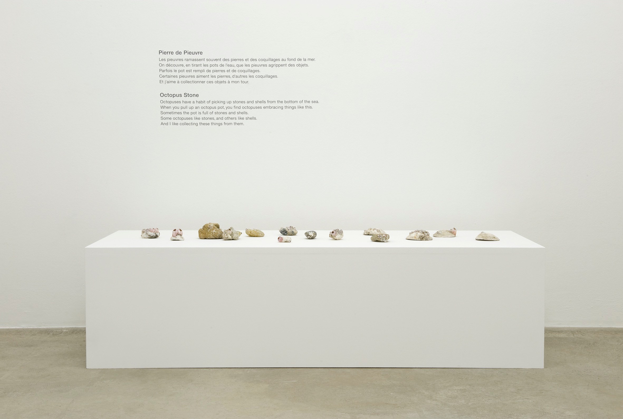 Pierre Joseph, Shimabuku, Pierre Joseph: From Apple Core to Glass | Shimabuku: Kaki and Tomato at Air de Paris, photo 2