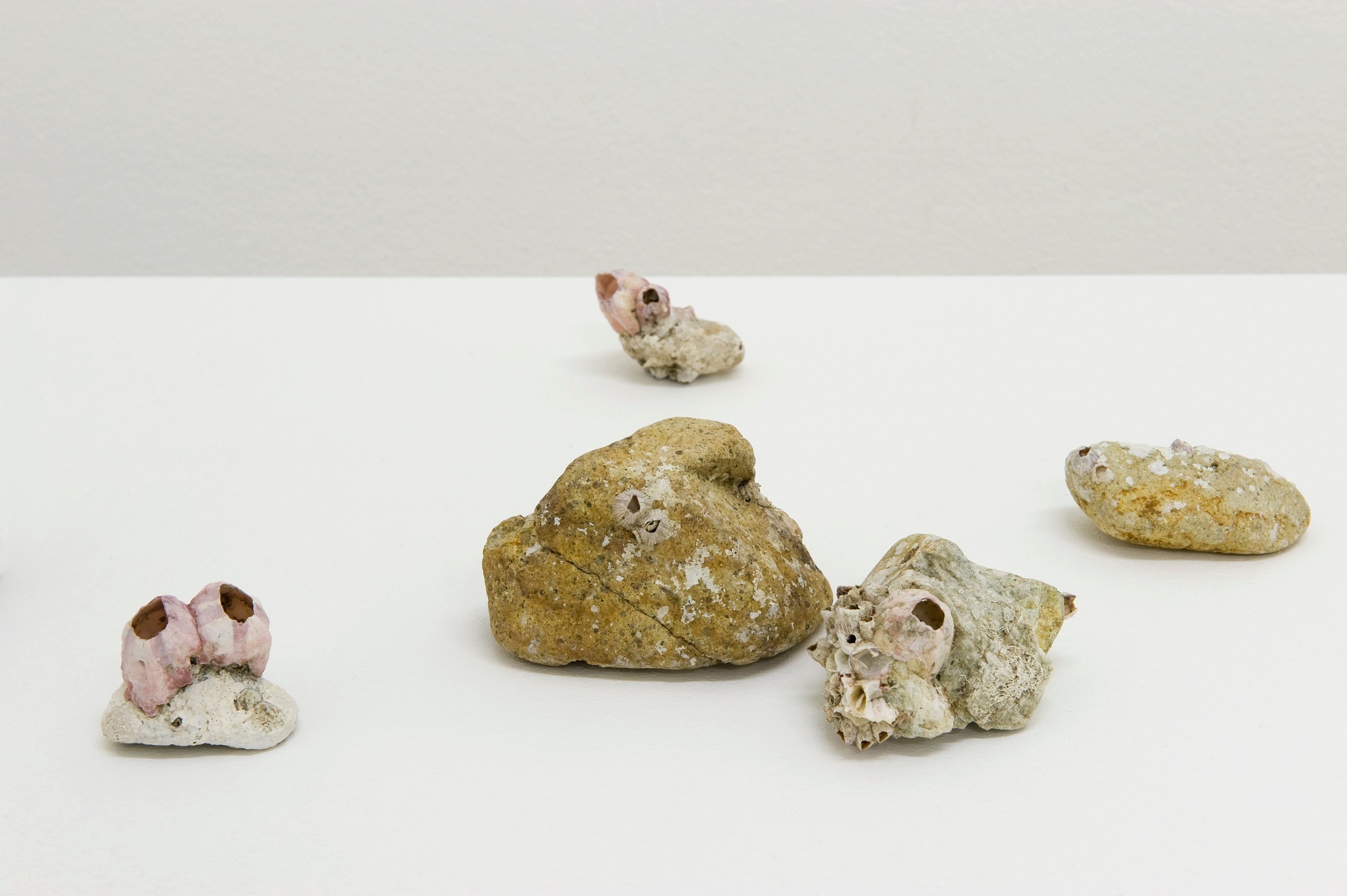 Pierre Joseph, Shimabuku, Pierre Joseph: From Apple Core to Glass | Shimabuku: Kaki and Tomato at Air de Paris, photo 4