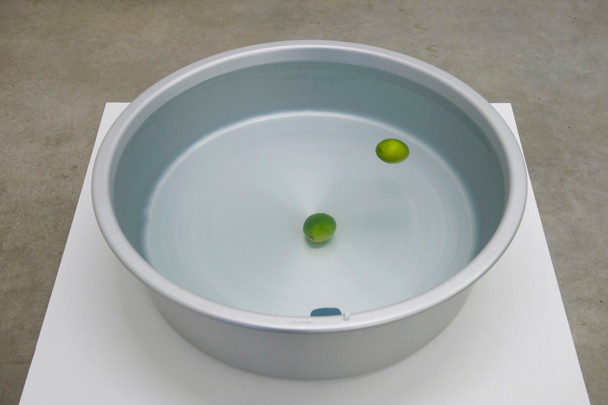Pierre Joseph, Shimabuku, Pierre Joseph: From Apple Core to Glass | Shimabuku: Kaki and Tomato at Air de Paris, photo 14