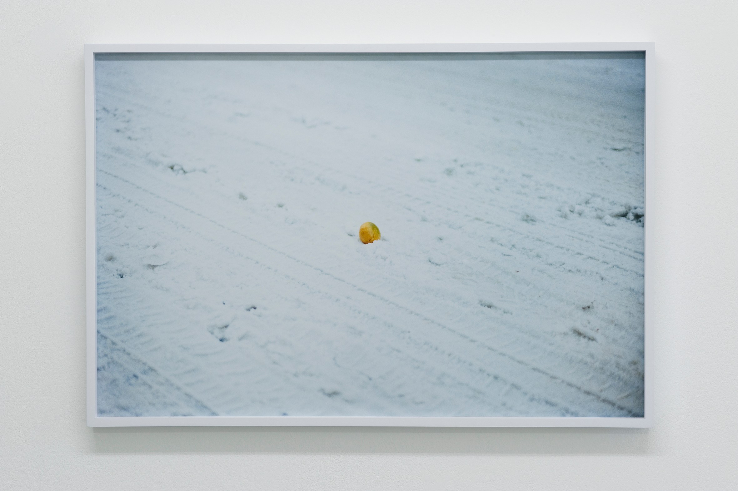 Pierre Joseph, Shimabuku, Pierre Joseph: From Apple Core to Glass | Shimabuku: Kaki and Tomato at Air de Paris, photo 25